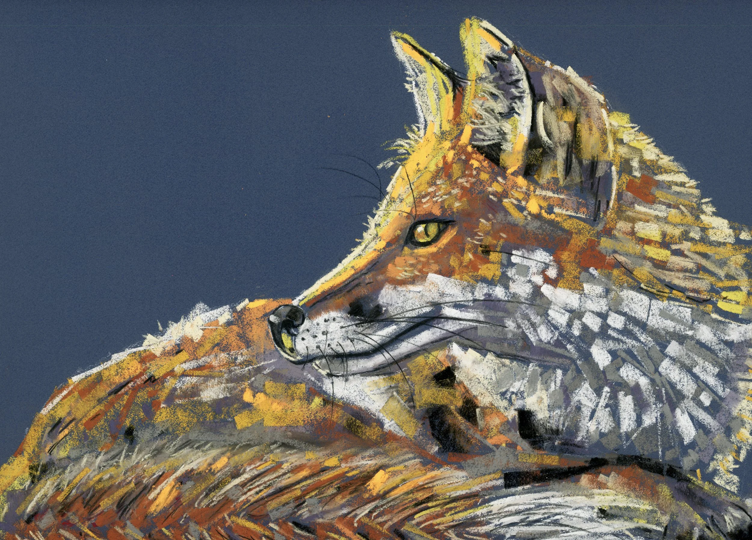 fox_profile_pastel copy.jpg