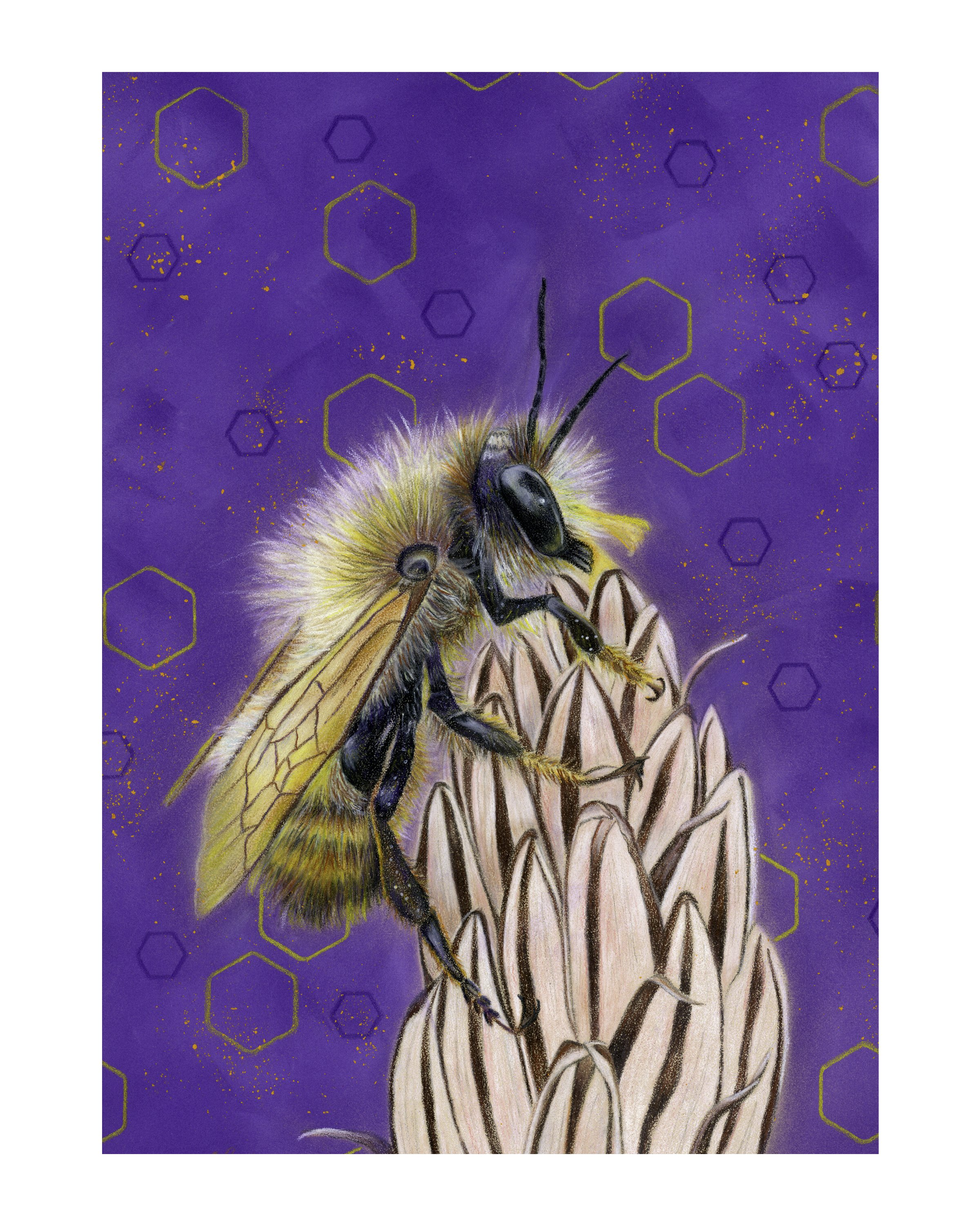 bee_on_flower_purple copy.jpg