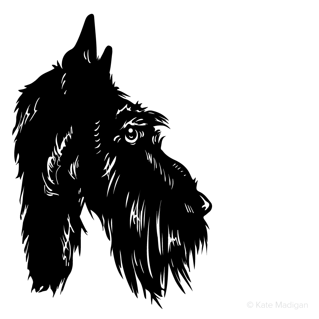 Black and white drawing of a sad, melancholy, depressed, gloomy Scottie dog in profile. Copyright Kate Madigan.
