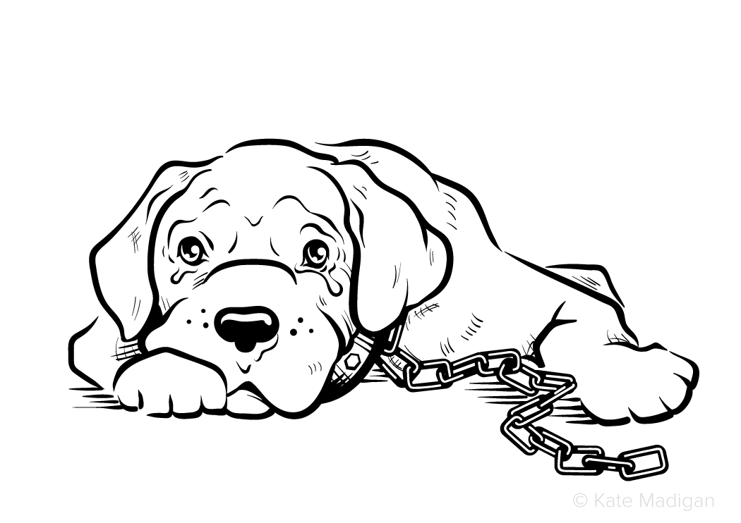 Black and white line drawing of a sad, miserable, tearful boxer/mastiff dog with a heavy chain attached to his collar. Copyright Kate Madigan.