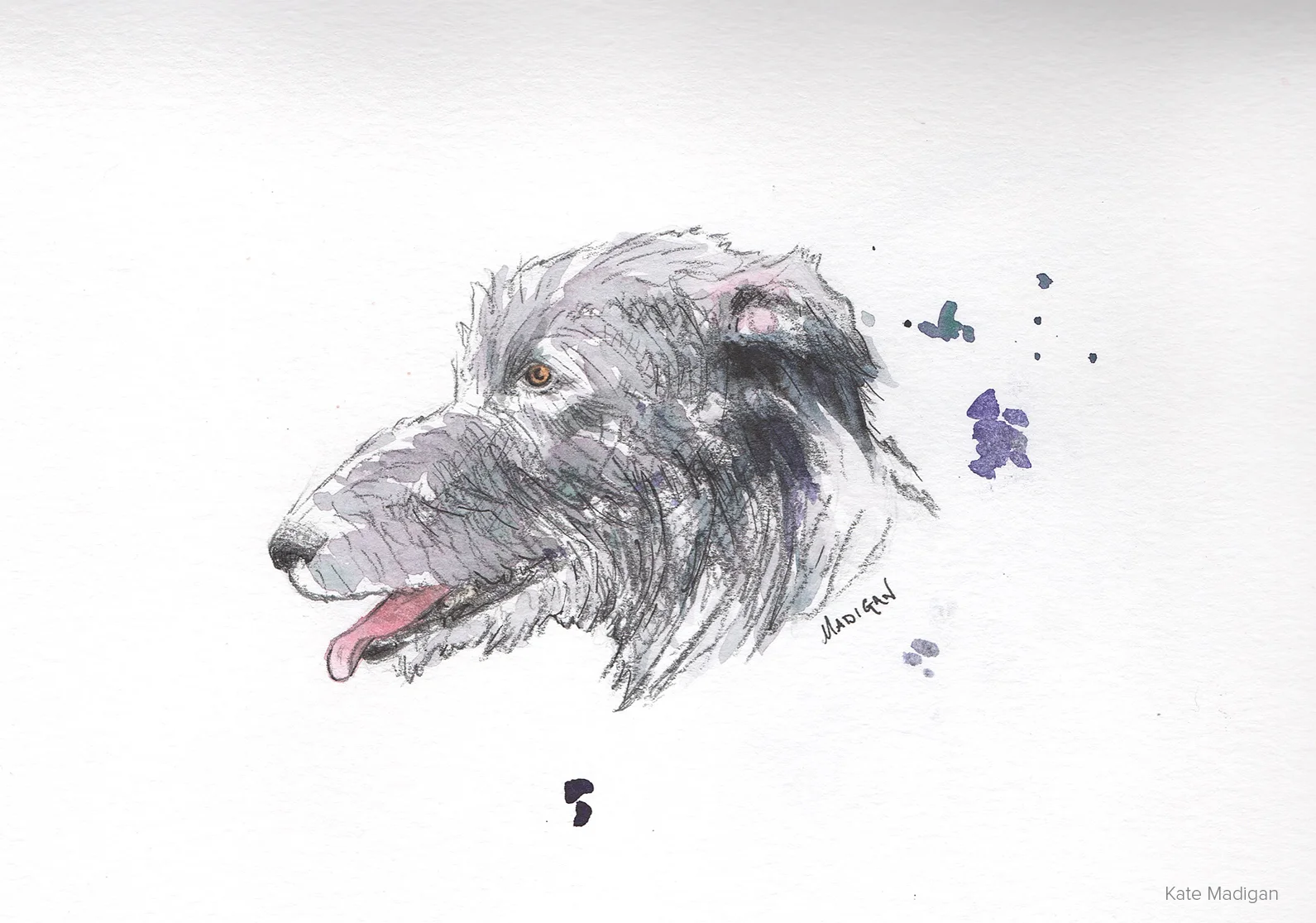Lurcher. Pencil sketch with watercolour.