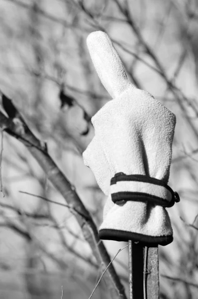 LOST-ANGRY - PHOTO