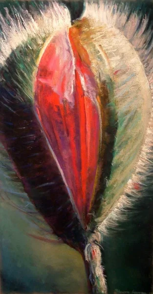 POPPY POD - PASTEL ON PAPER