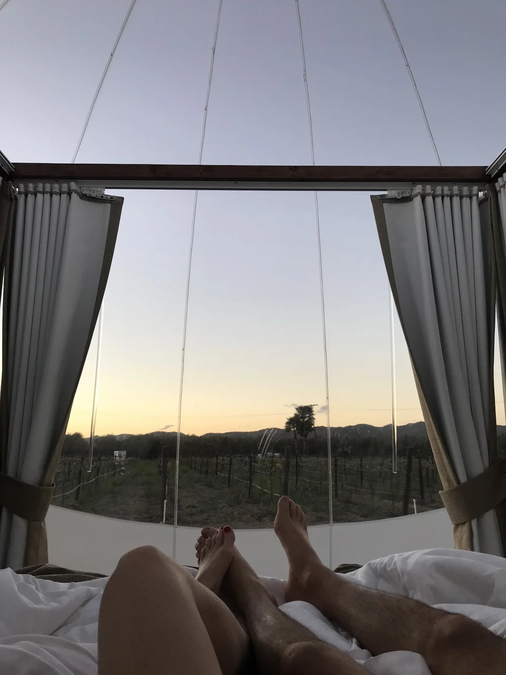 Everything You Need To Know About Campera Hotel Burbuja In Mexicos 