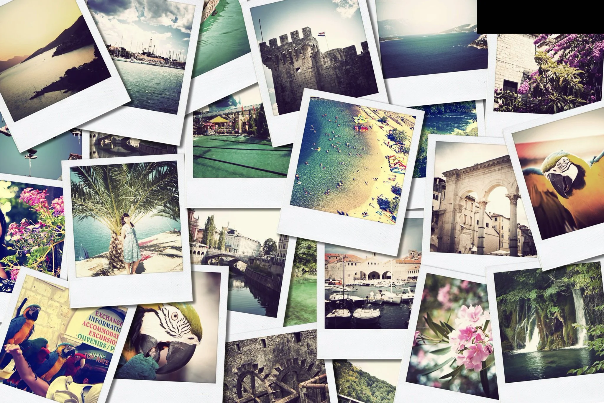 travel collage.jpeg