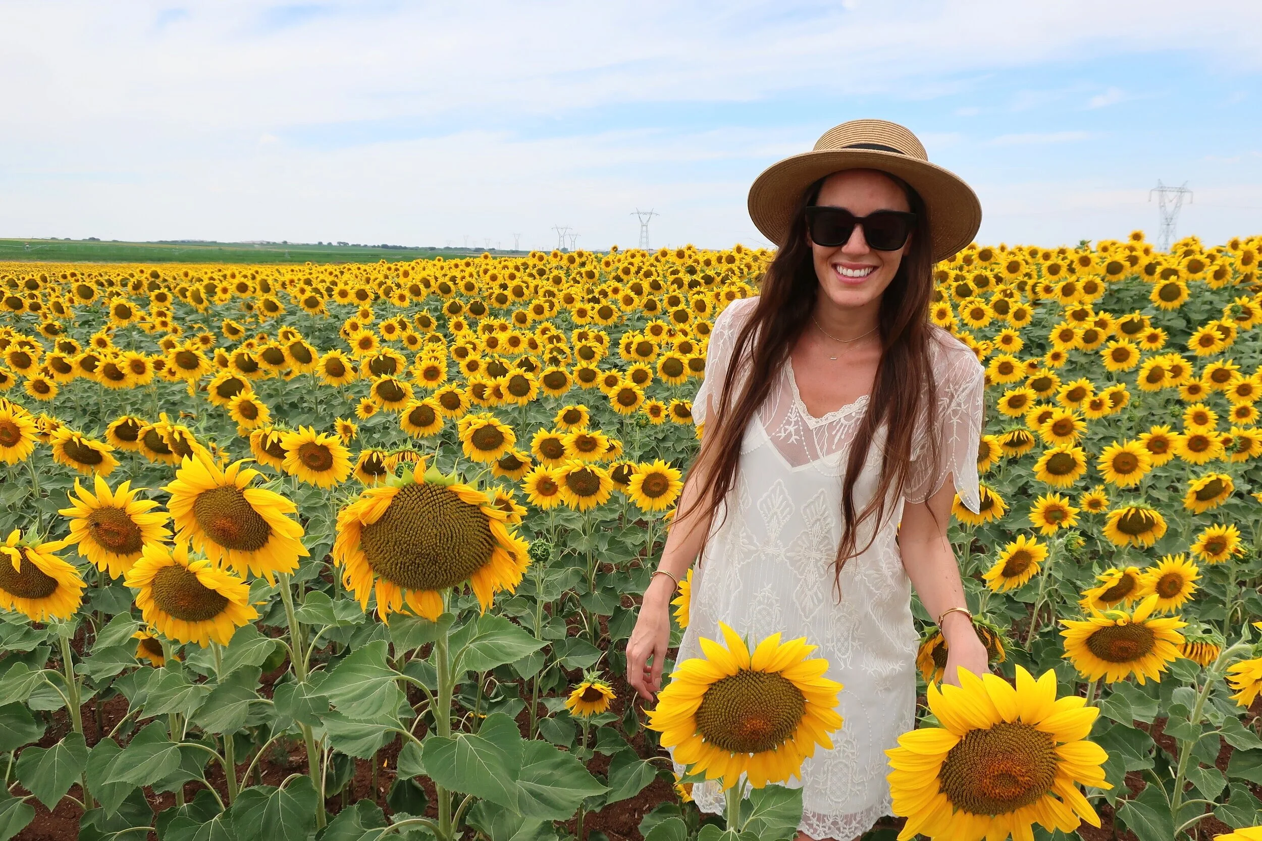 Where To Find Sunflowers In Portugal She Is Not Lost