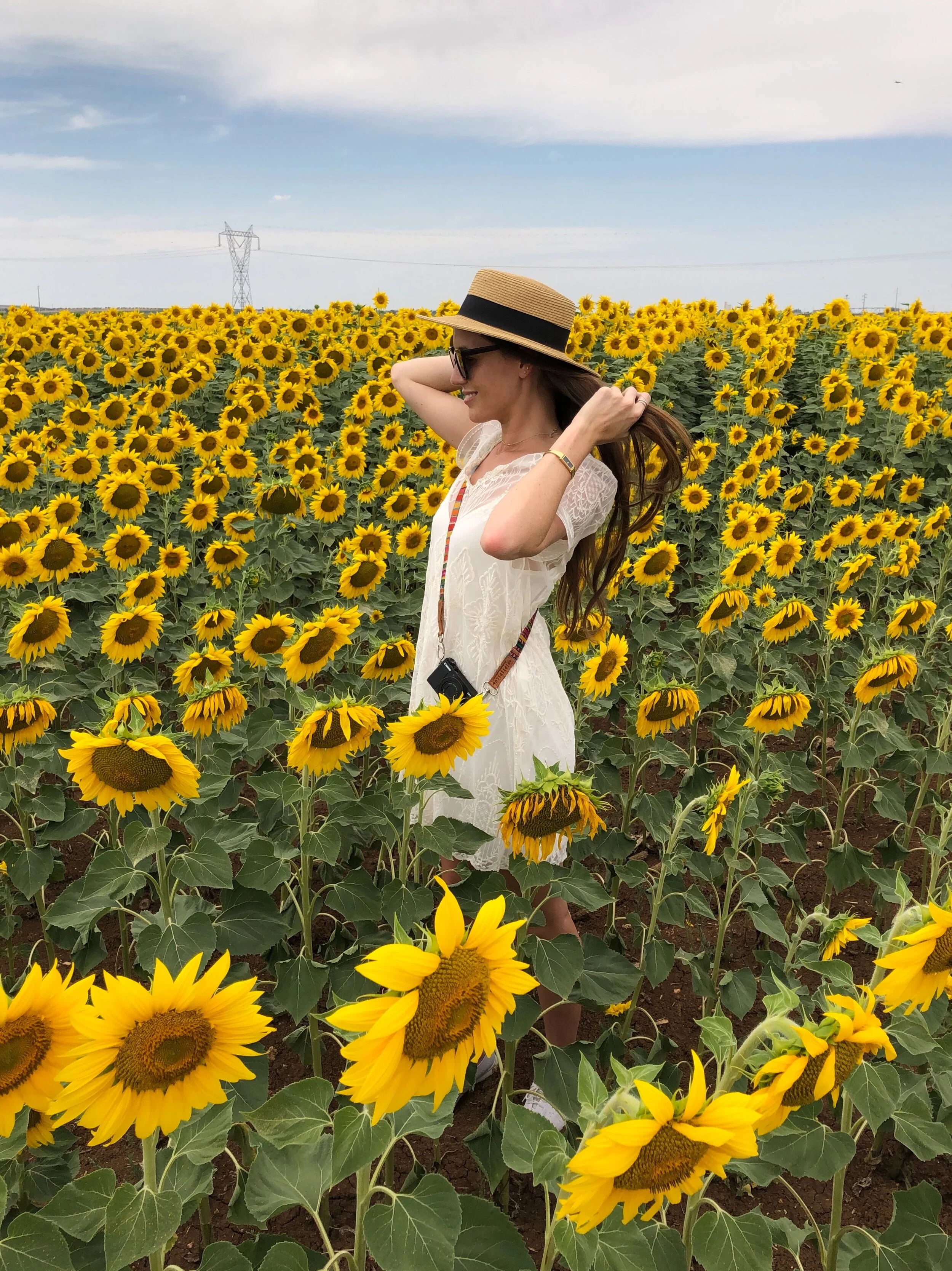 Where to Find Sunflowers in Portugal — She is Not Lost