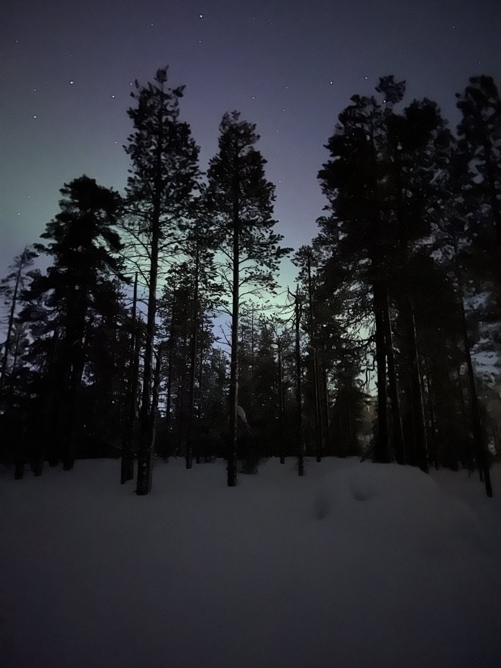  The view of the Northern Lights that same night, taken from the forest path near the hotel 