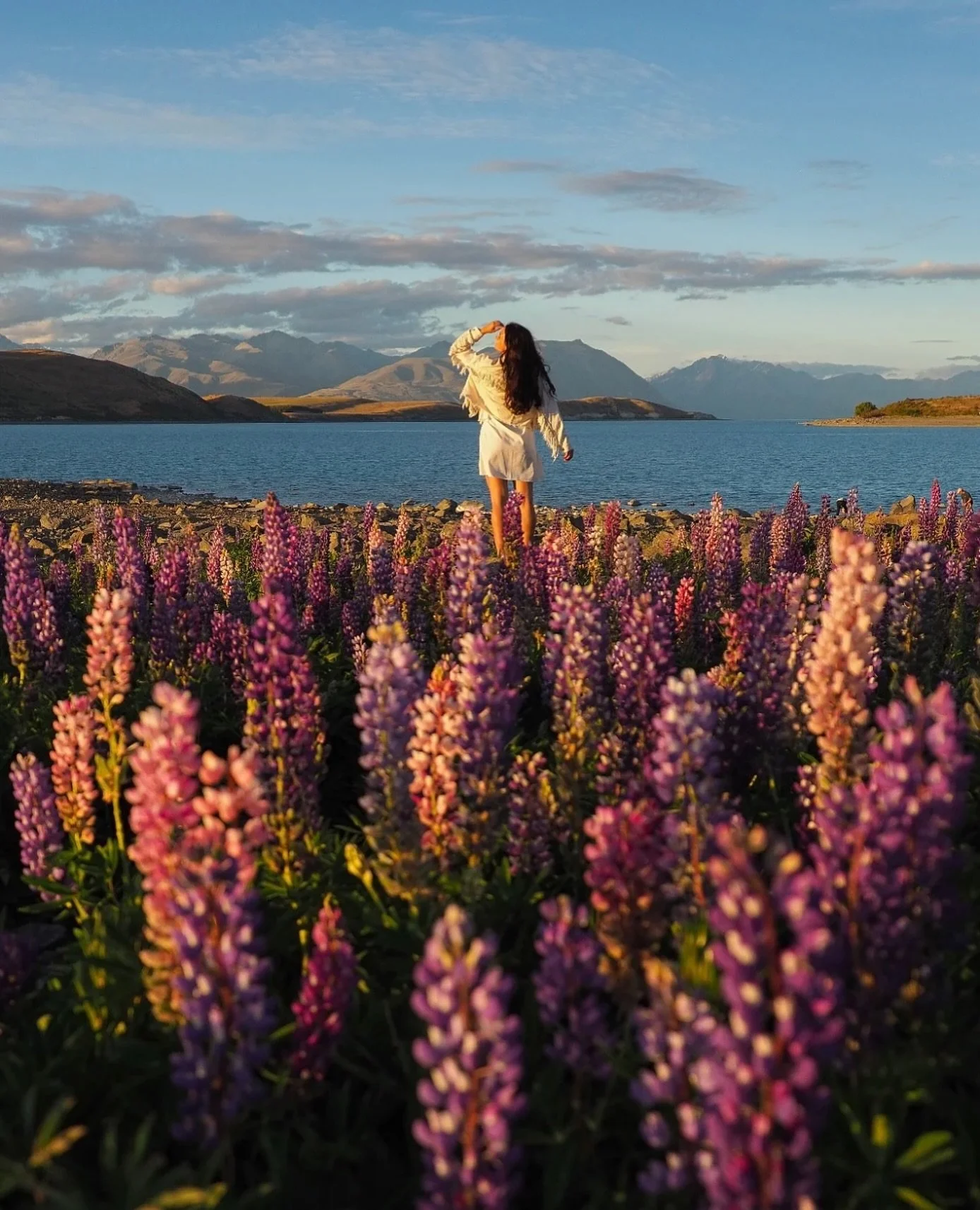 🌏 @smilesfromabroad is Not Lost 🌏 in New Zealand #sheisnotlost