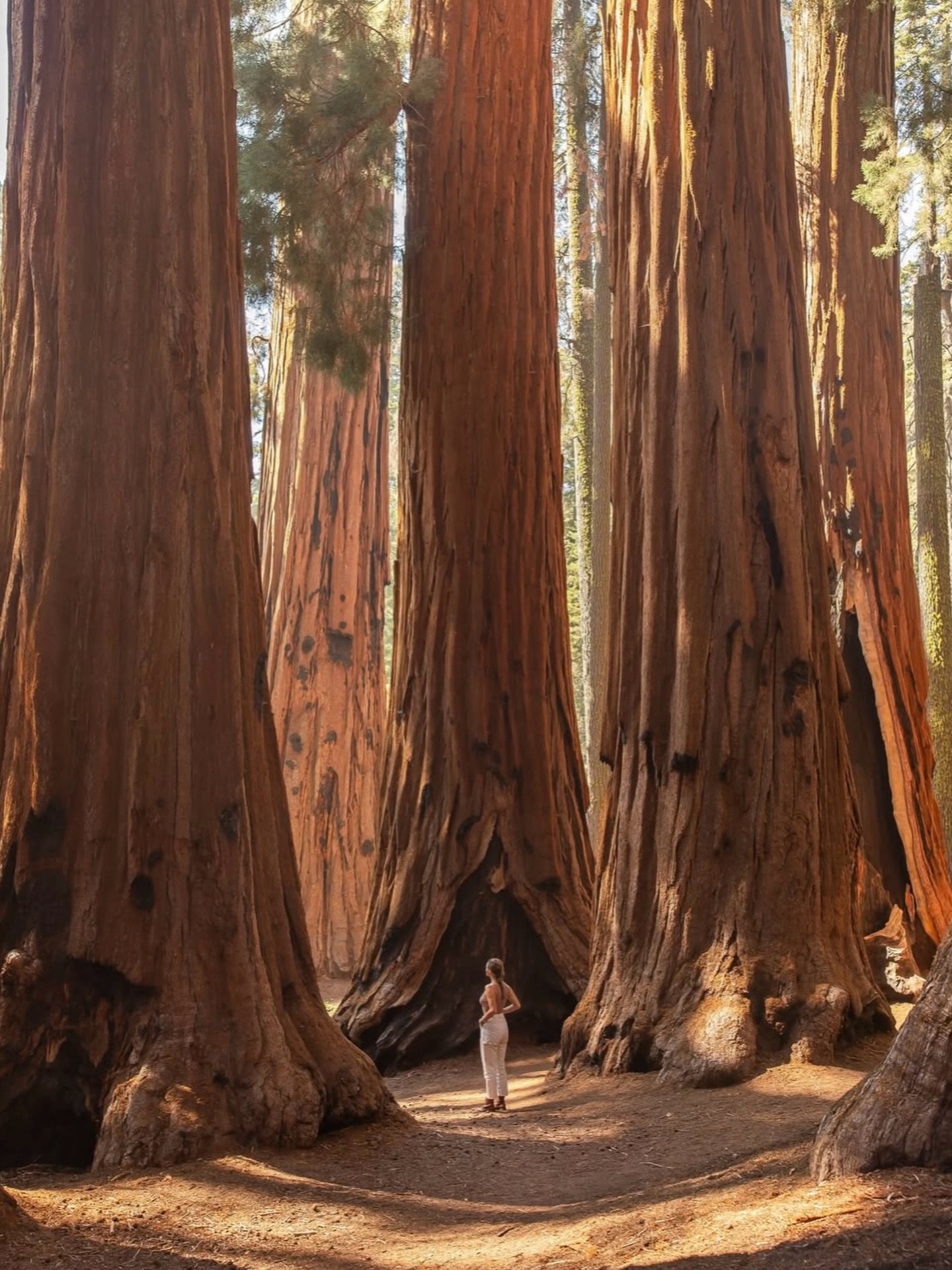 🌎 @kasia_traveltheworld is Not Lost 🌎 in California, USA #sheisnotlost photo by @xavier_hemery