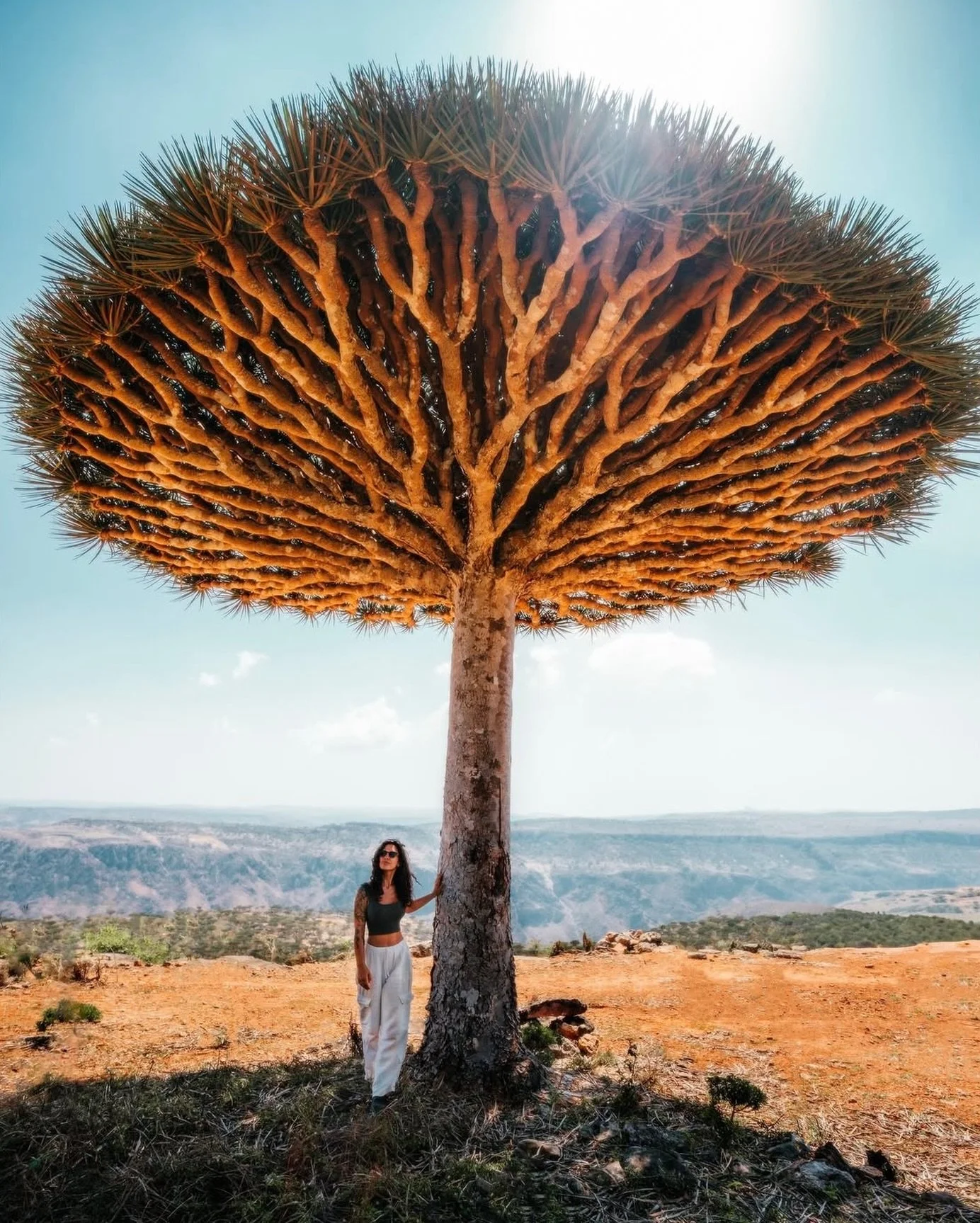 🌍 @eyeofshe is Not Lost 🌍 in Socotra, Yemen #sheisnotlost