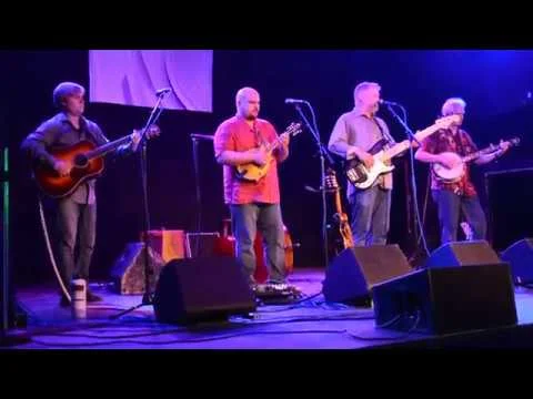 Rikki Don't Lose That Number