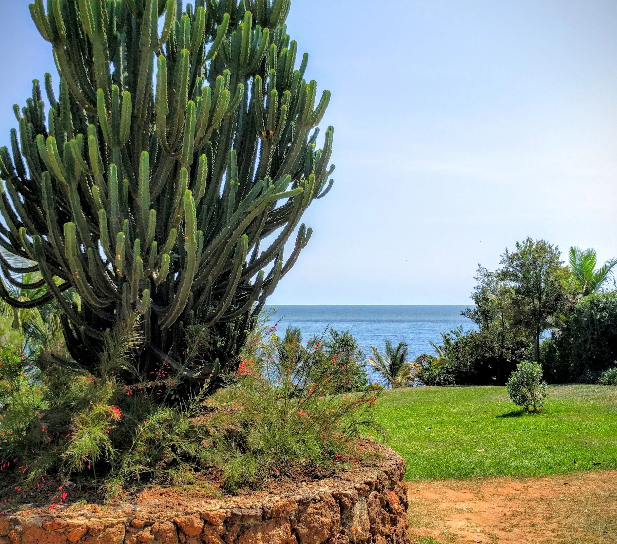 Lunch with the family by Lake Victoria 