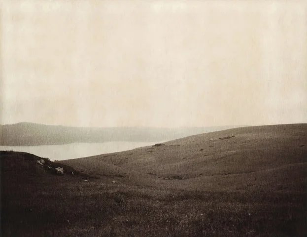 pasture