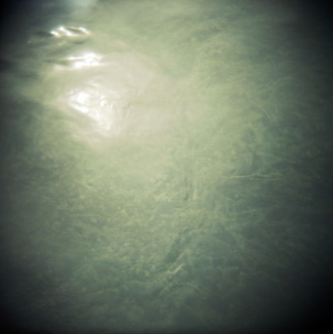 water and plants below