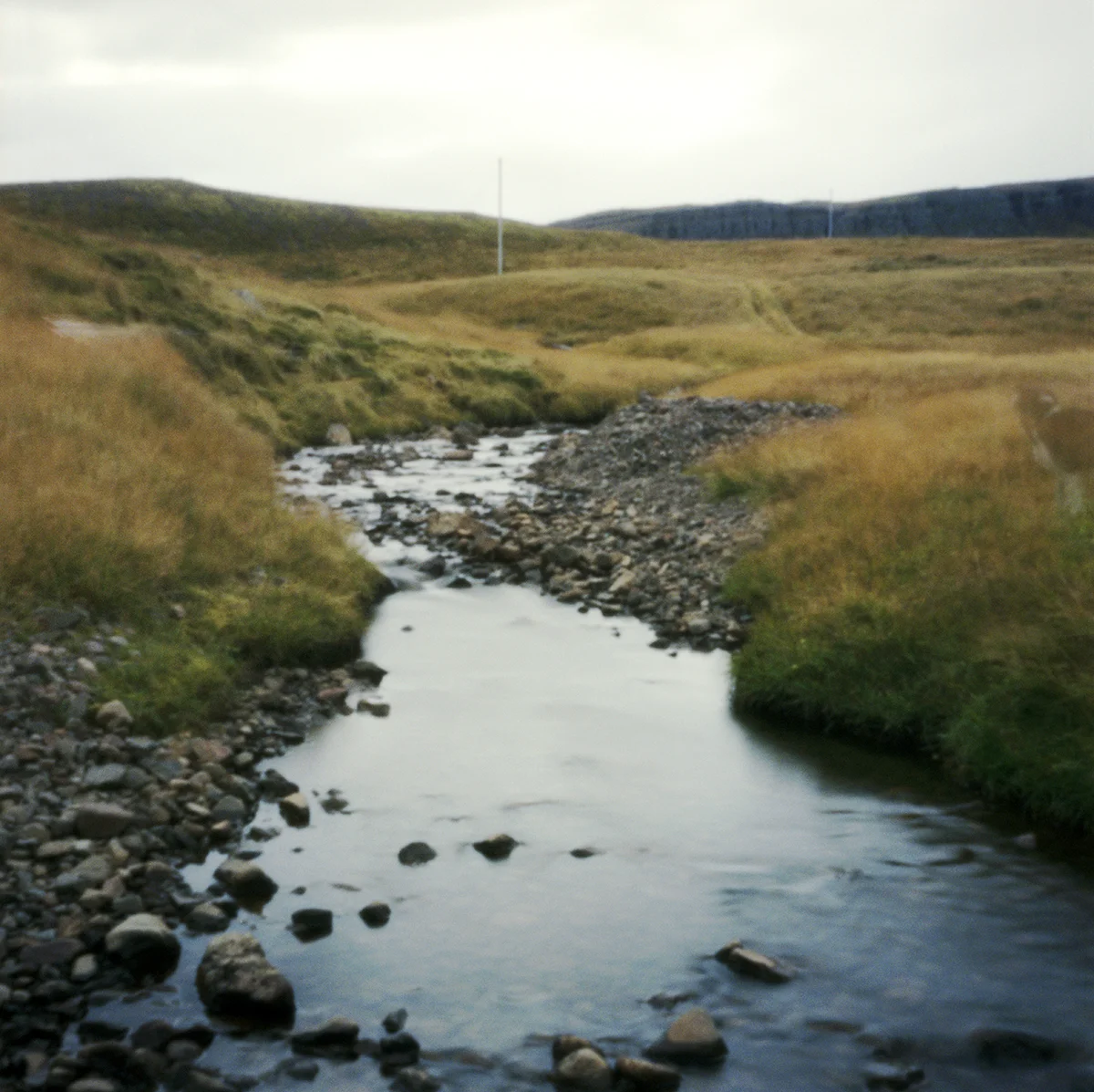 A05-creekpinhole-sm.jpg