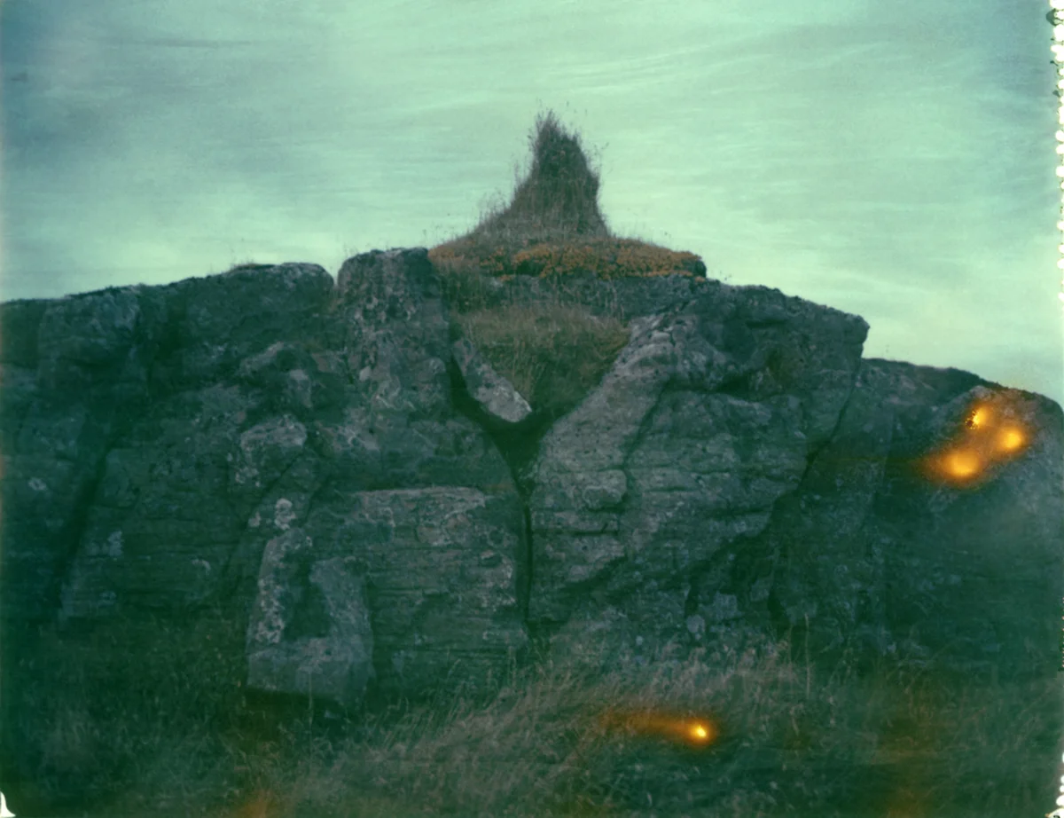 28-tuft-sm.jpg