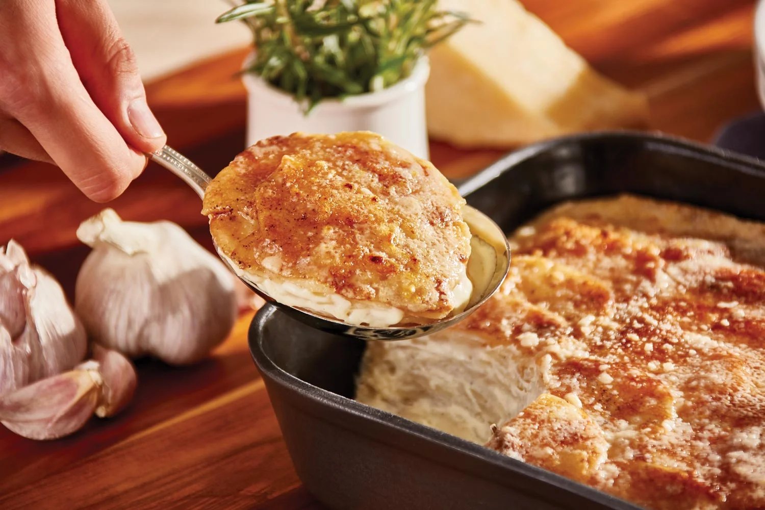 Rosemary Potato Gratin — Shop Geoffrey Zakarian