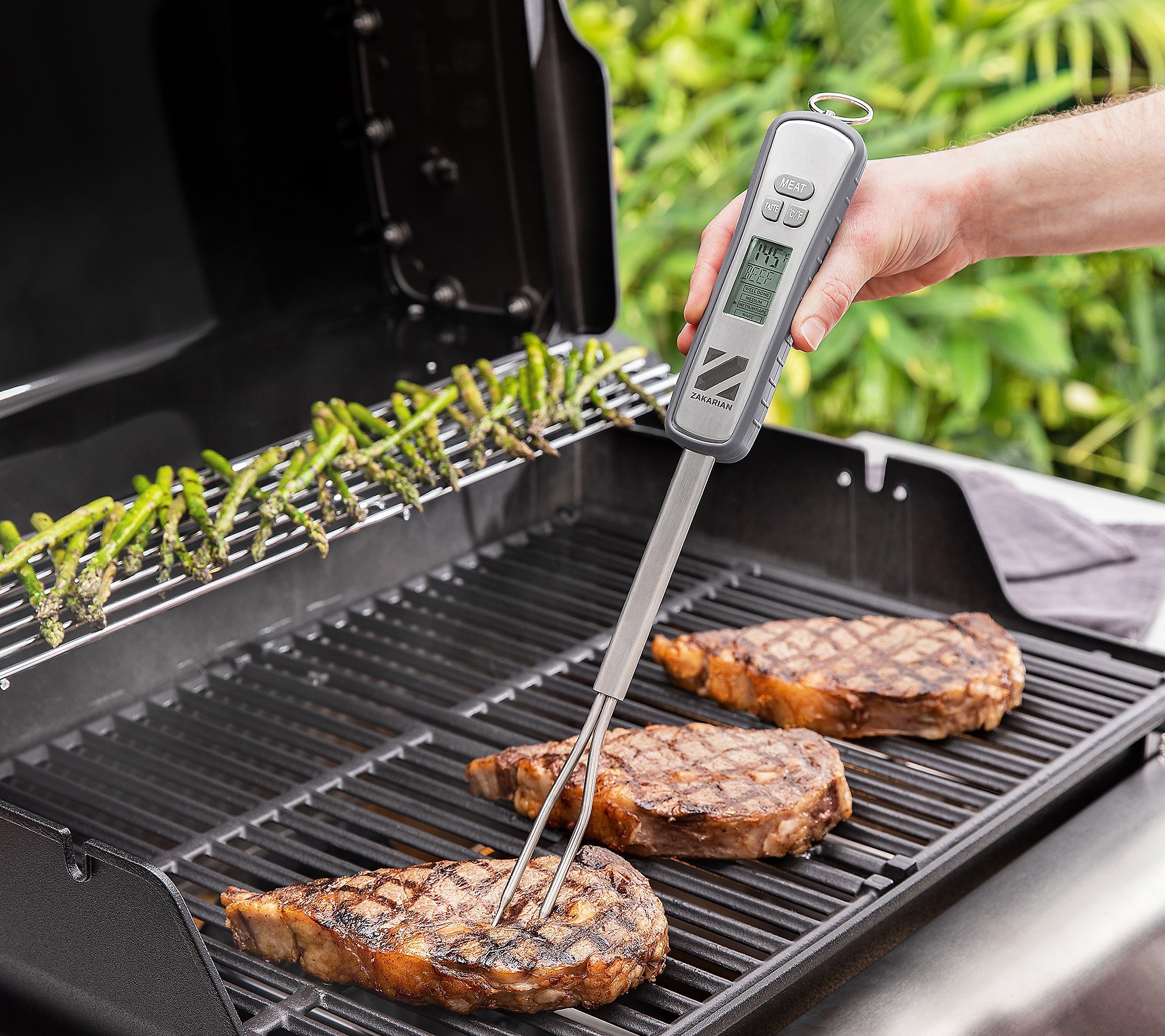 Barbecue Digital Fork Thermometer — Shop Geoffrey Zakarian