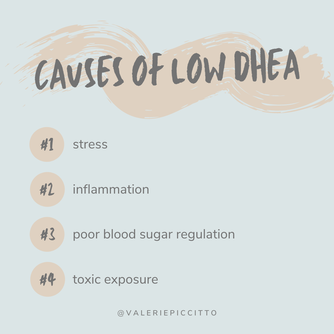 Hormone Week: DHEA — Valerie Piccitto | Nutritionist