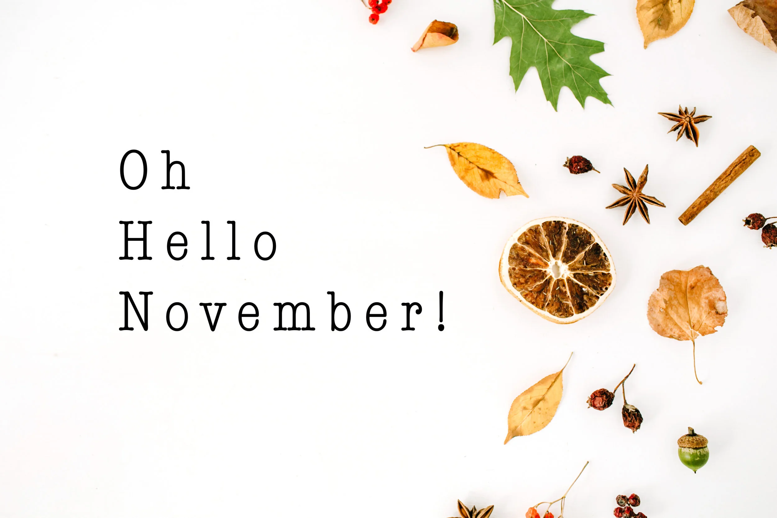 Cosy up November