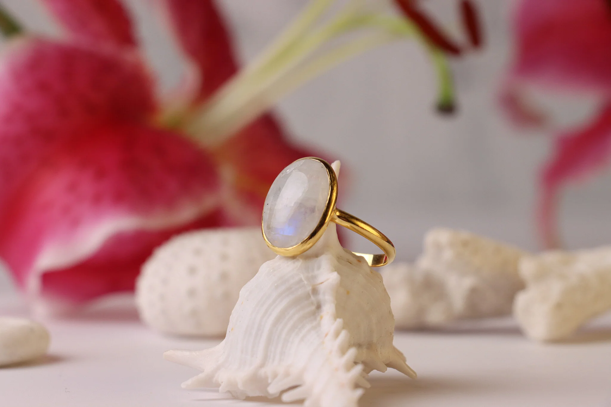 58D9C6BA-5E75-4E7E-BABE-B94D7C378CEC