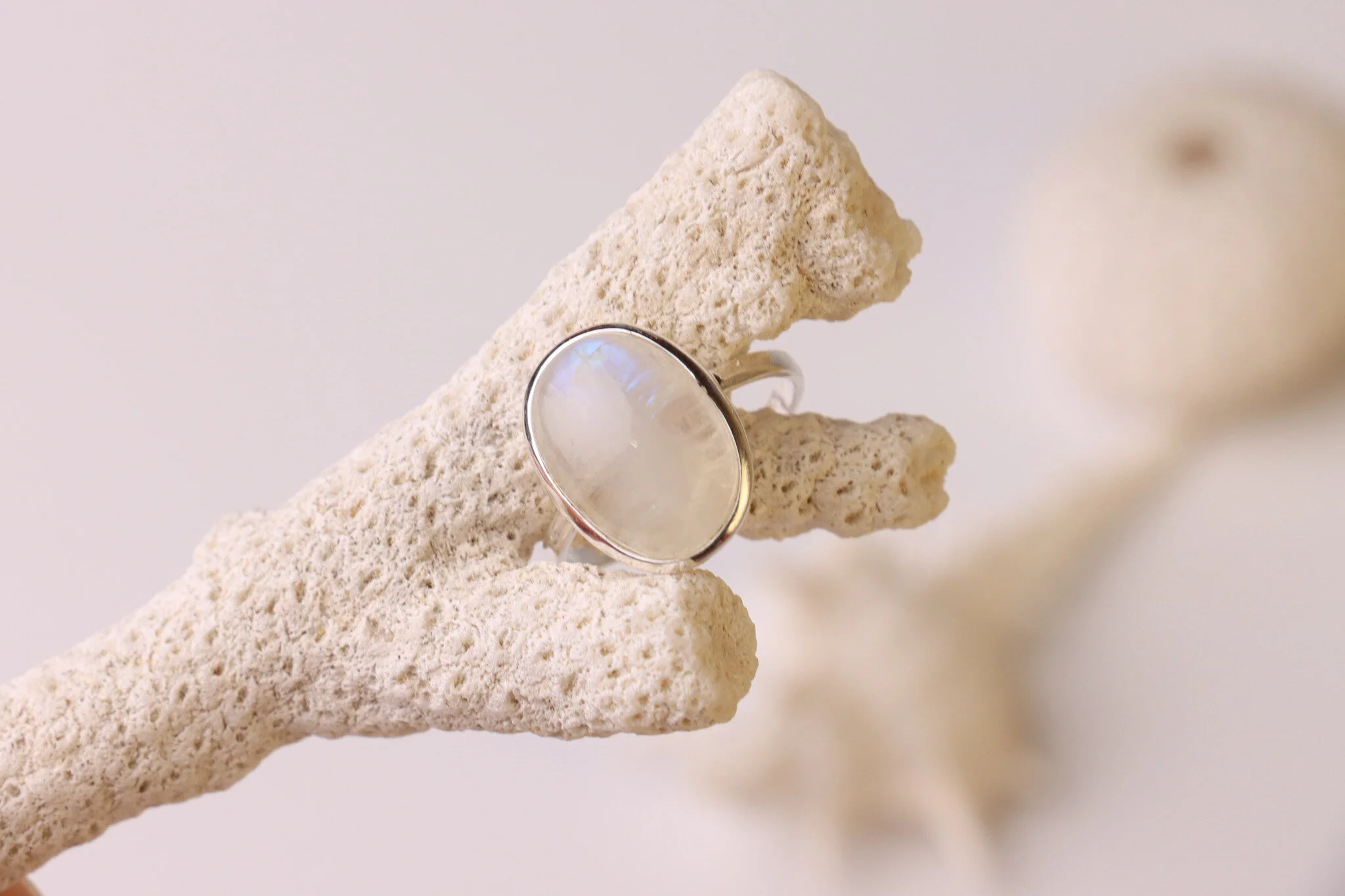 451B2838-8980-4801-8625-903390A509BC