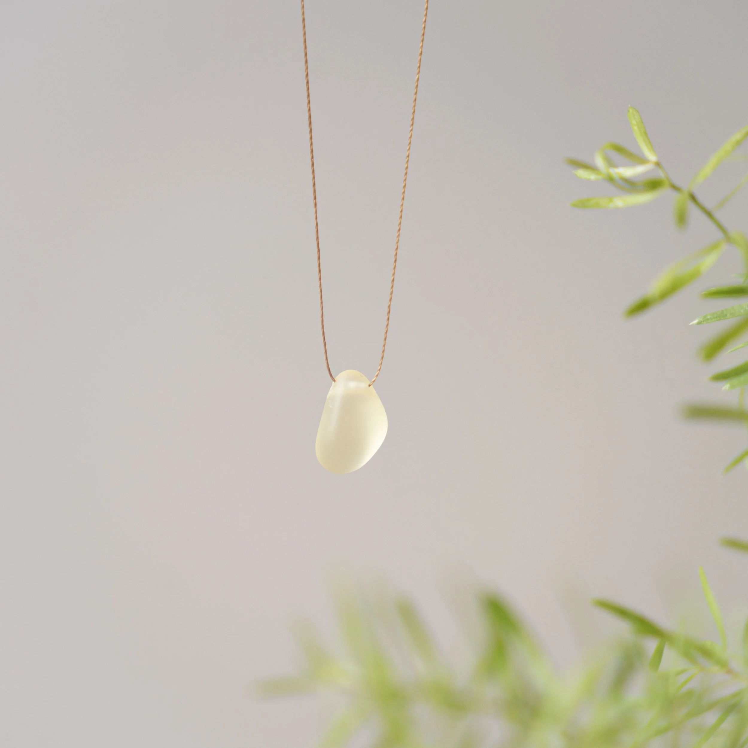 DSC02991.jpg