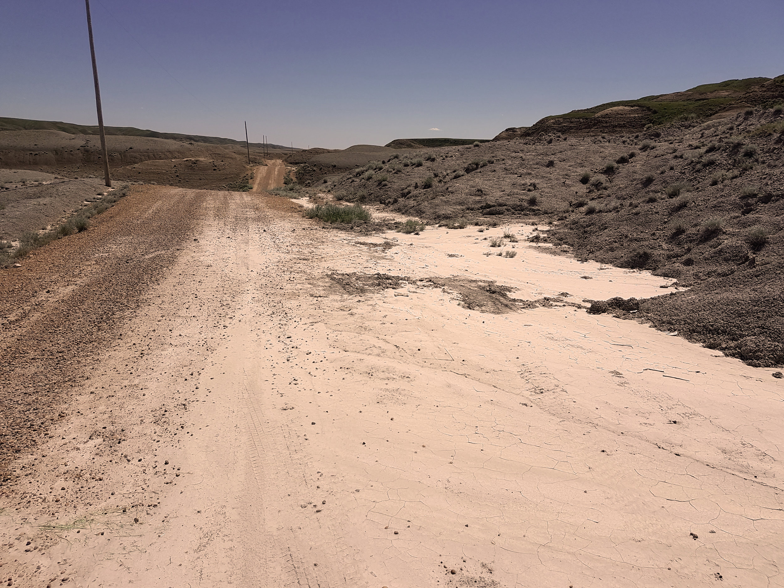 The road just a few miles from camp. This is where we got the tip on the wounded bear.
