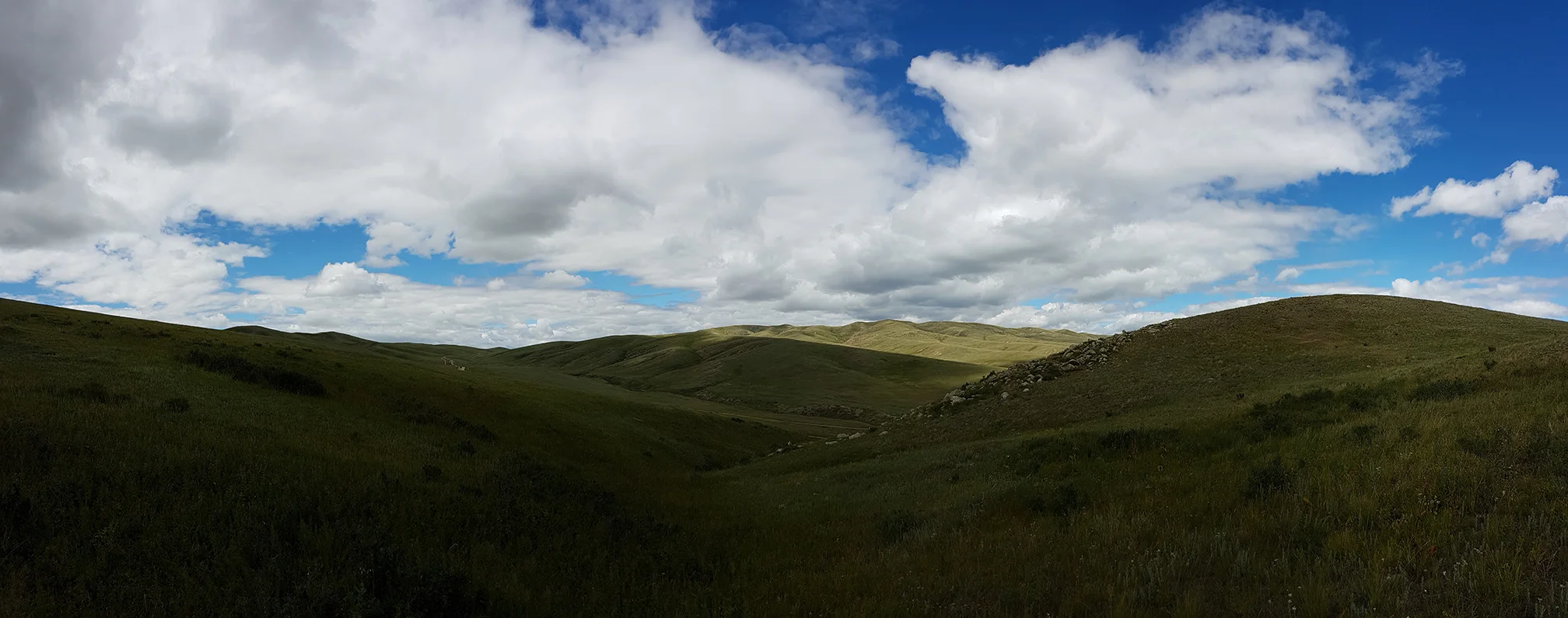20160811_125359a.jpg