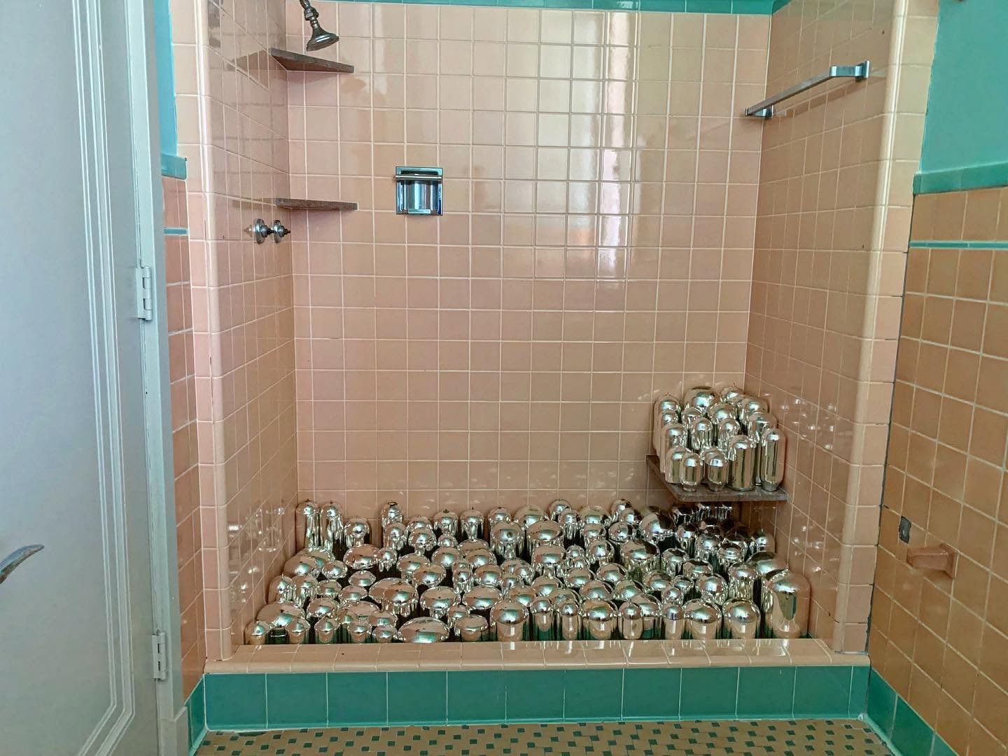 The Narcissist’s Shower (longtimecoming)