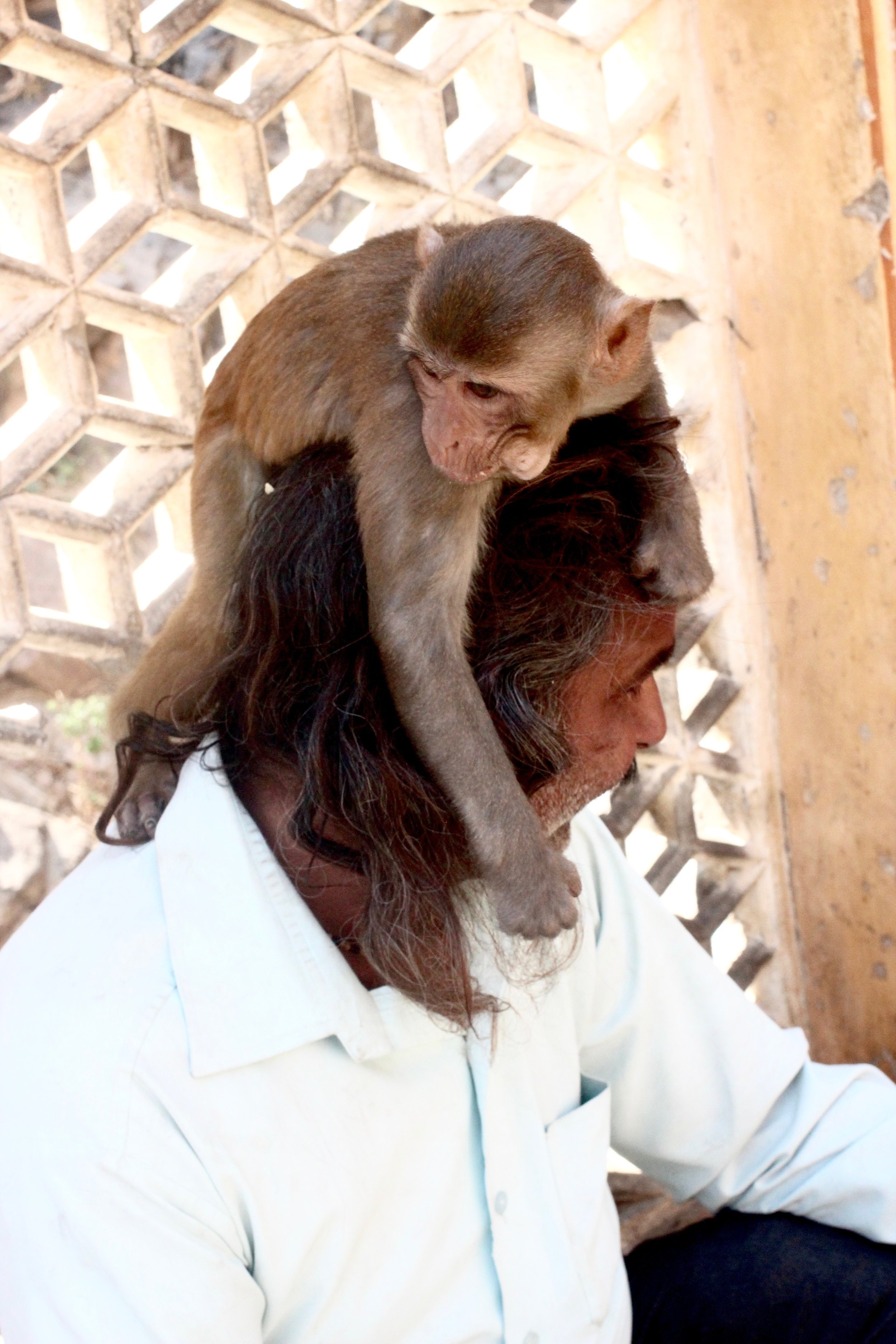 Meet the Monkey Man -- he's been featured on Nat Geo and BBC for his work at the Monkey Temple.