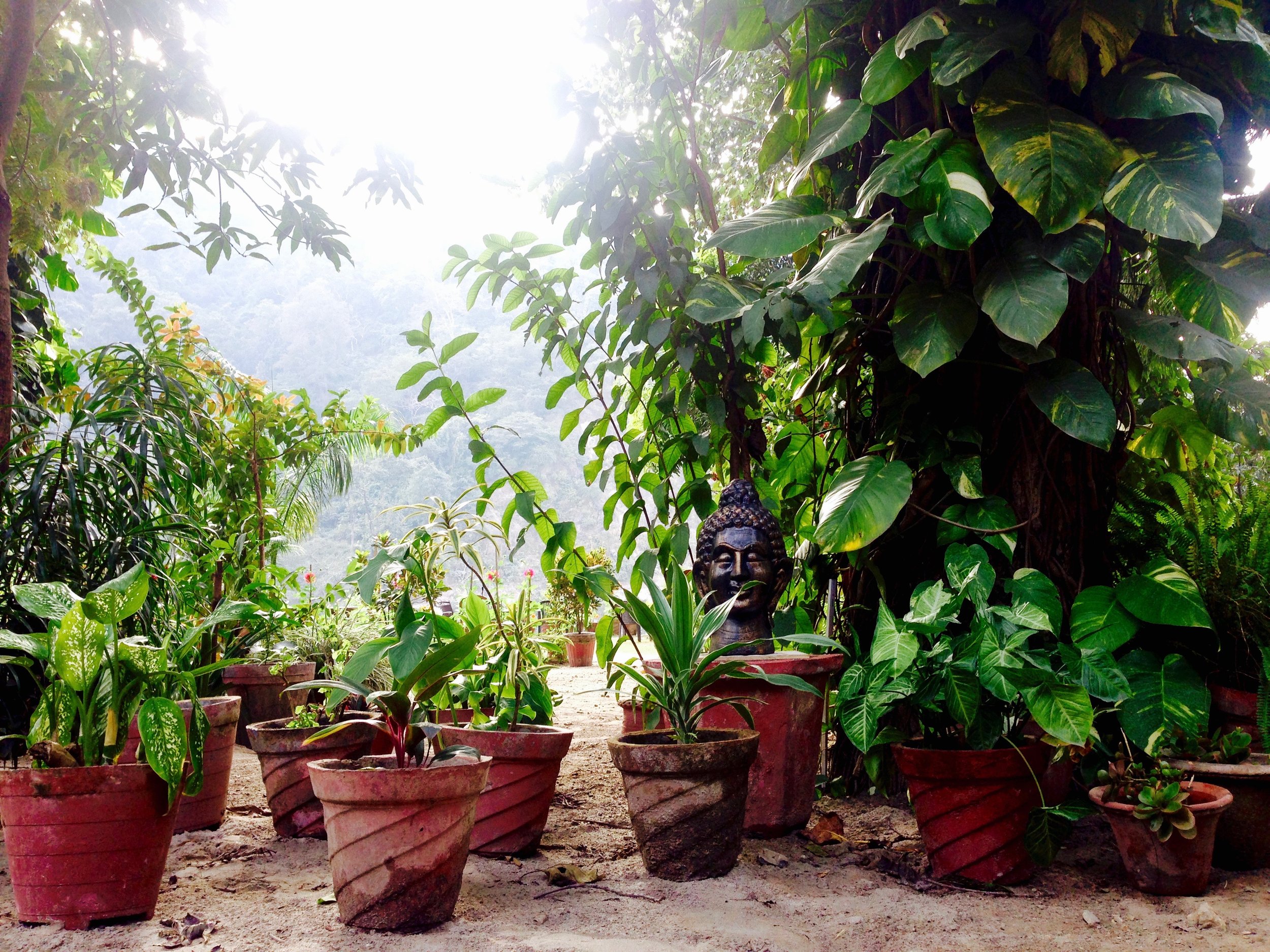 Welcome to Osho Gangadham!