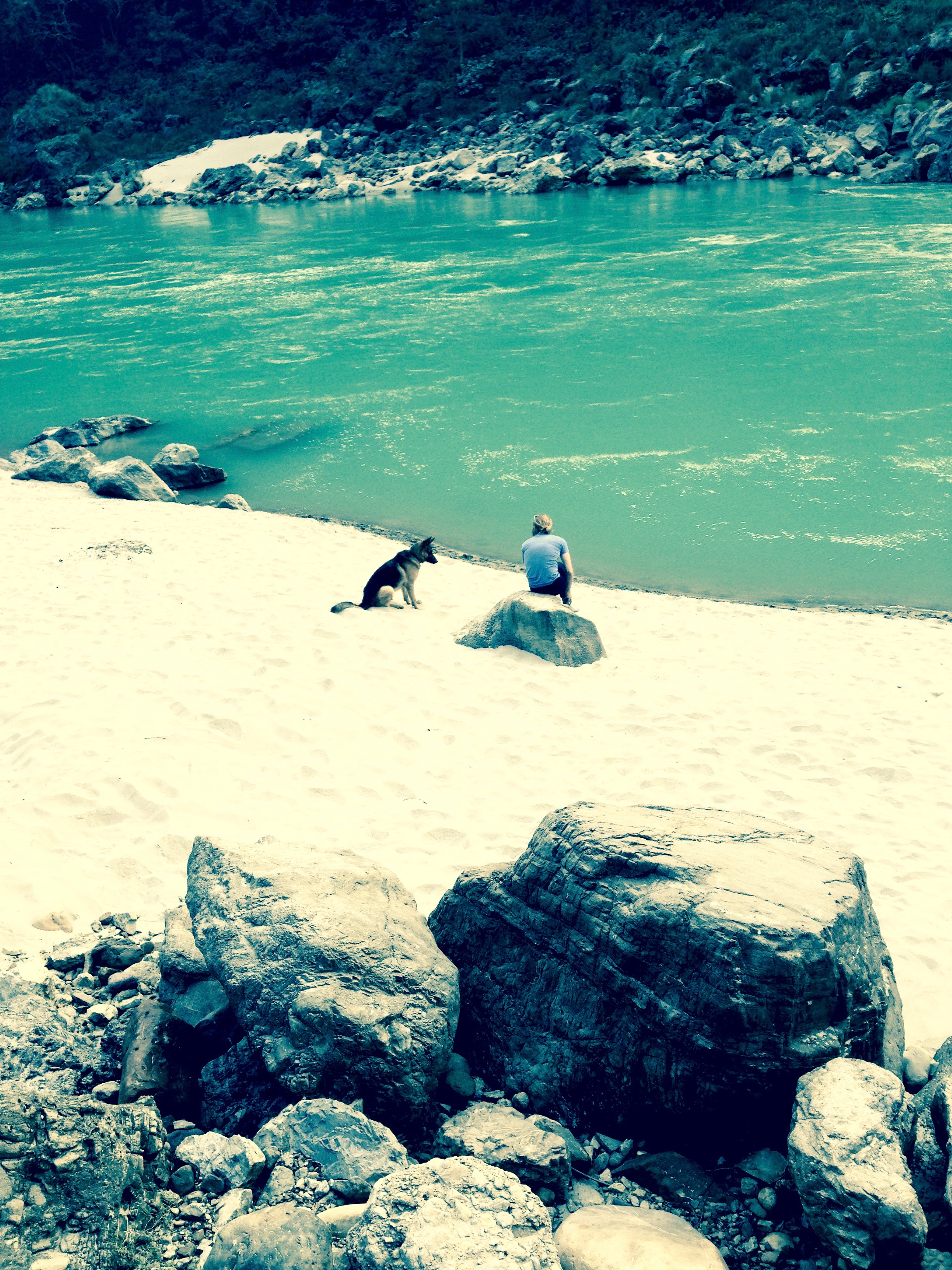 Made some furry friends on the beach