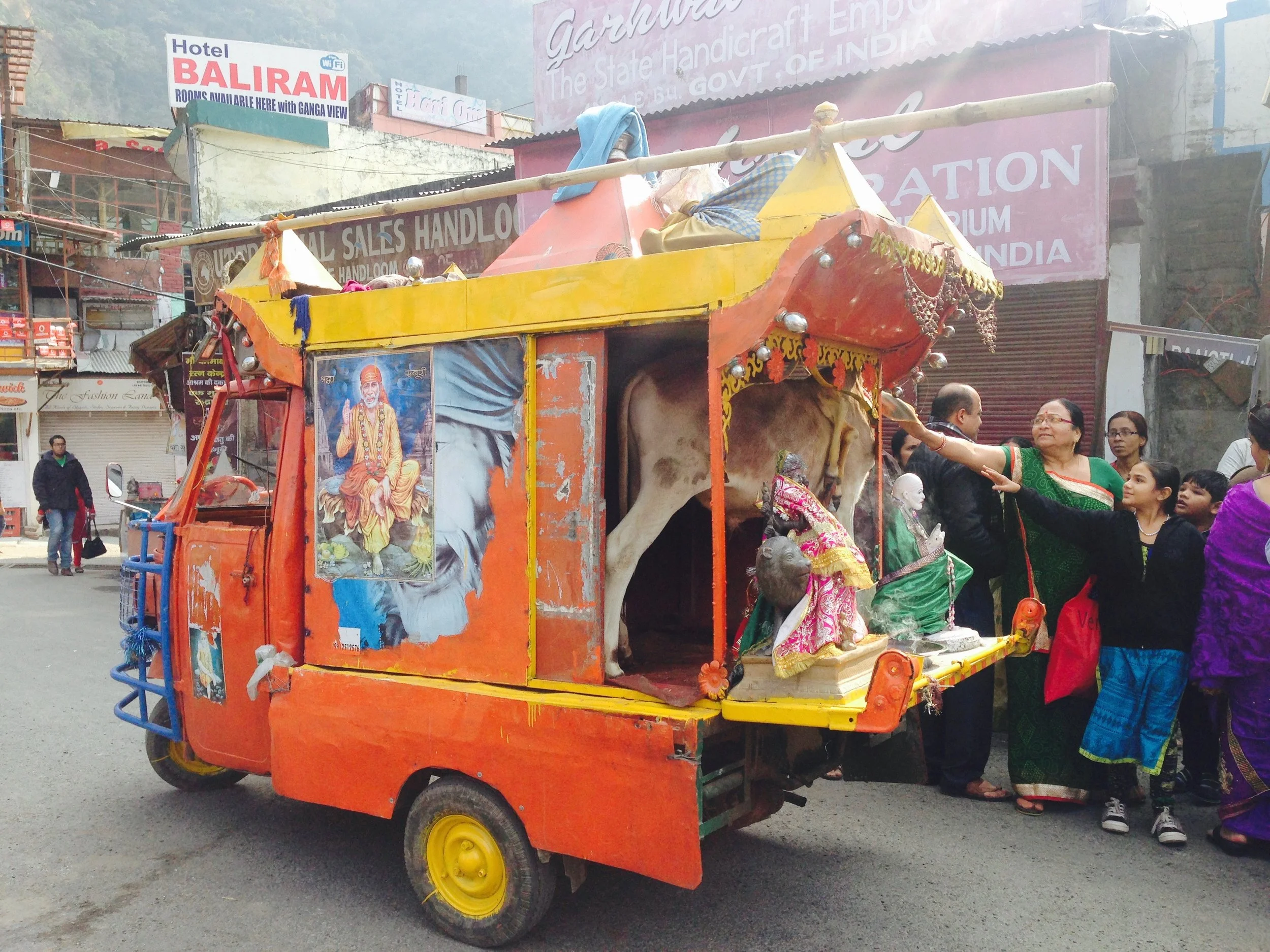 Christmas: an excuse for Indians to load up holy cows in trucks and make some money? It appears so.