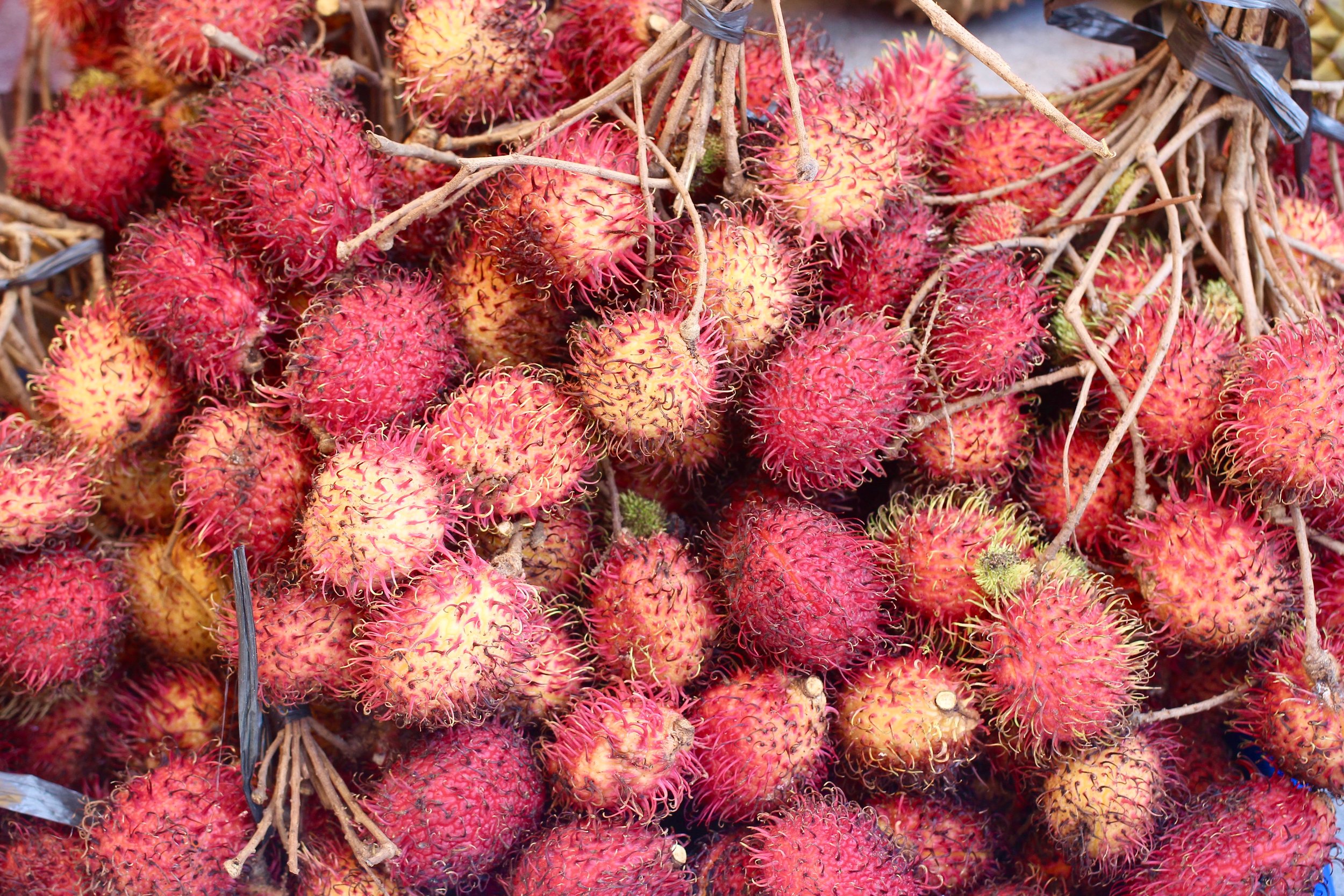 Rambutan break....these cost so much at Whole Foods back at home, but here on the streets, they're just a few cents. Tastes kinda like a lychee.