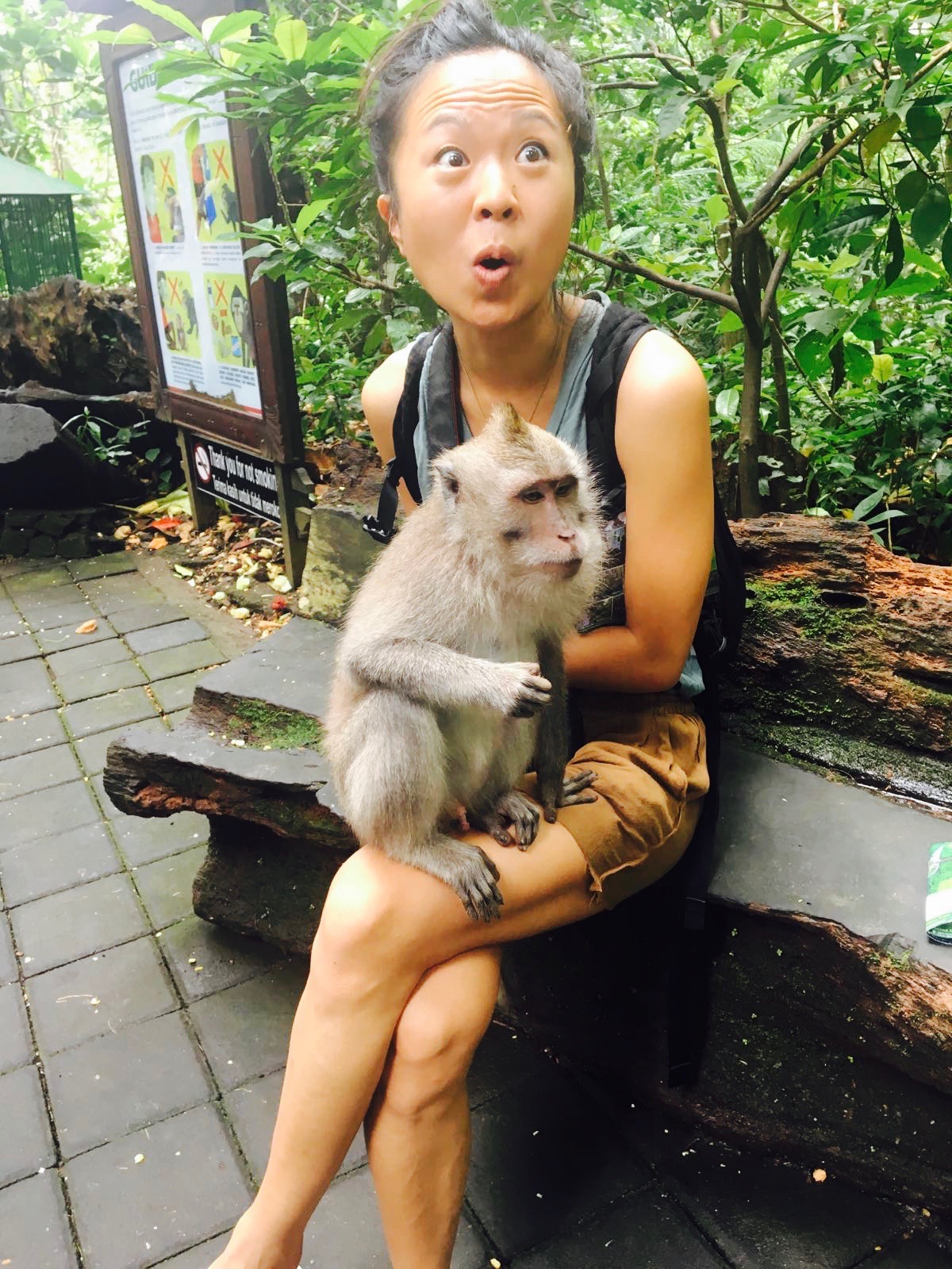 Monkey 1 + Monkey 2