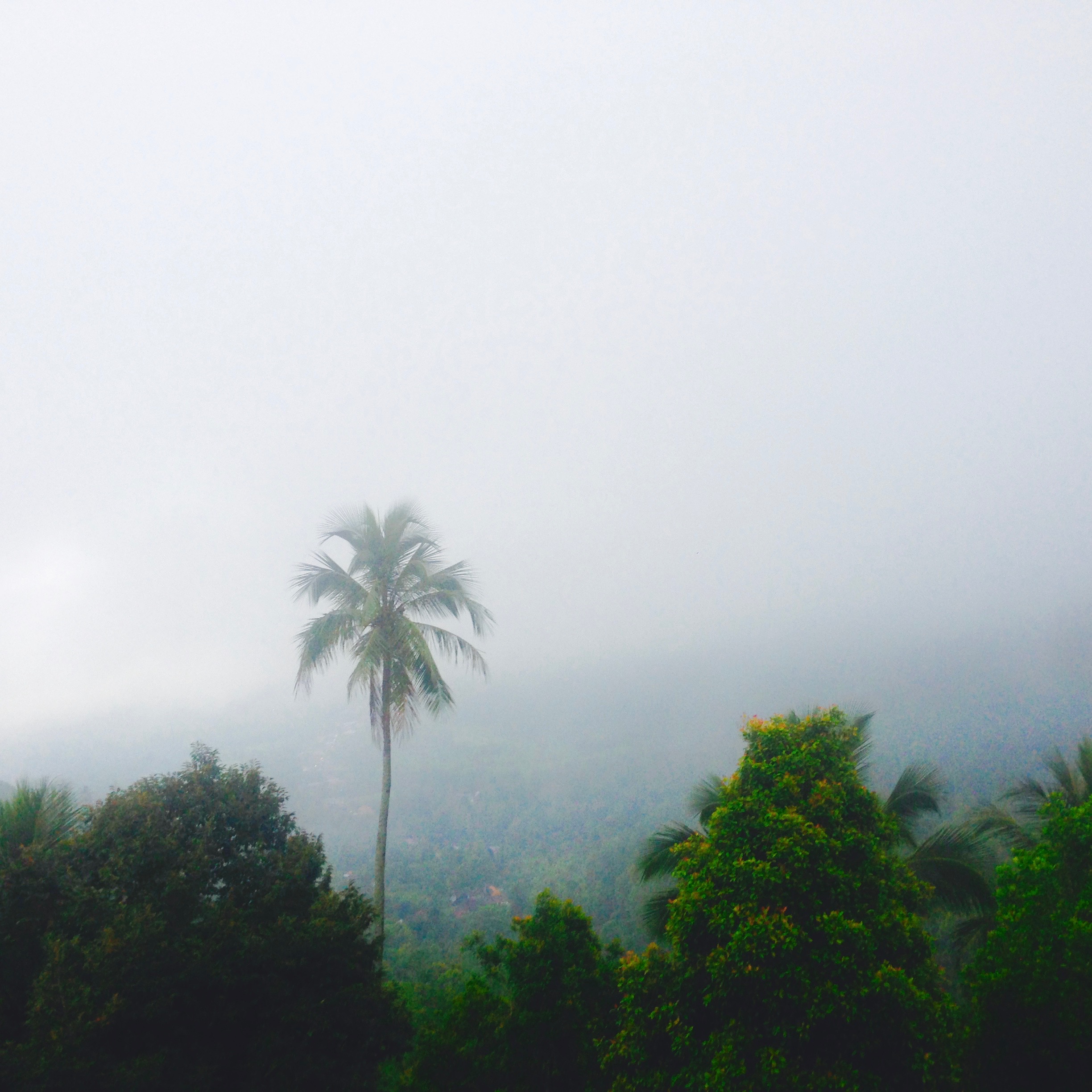 Current moment: Misty mountains 
