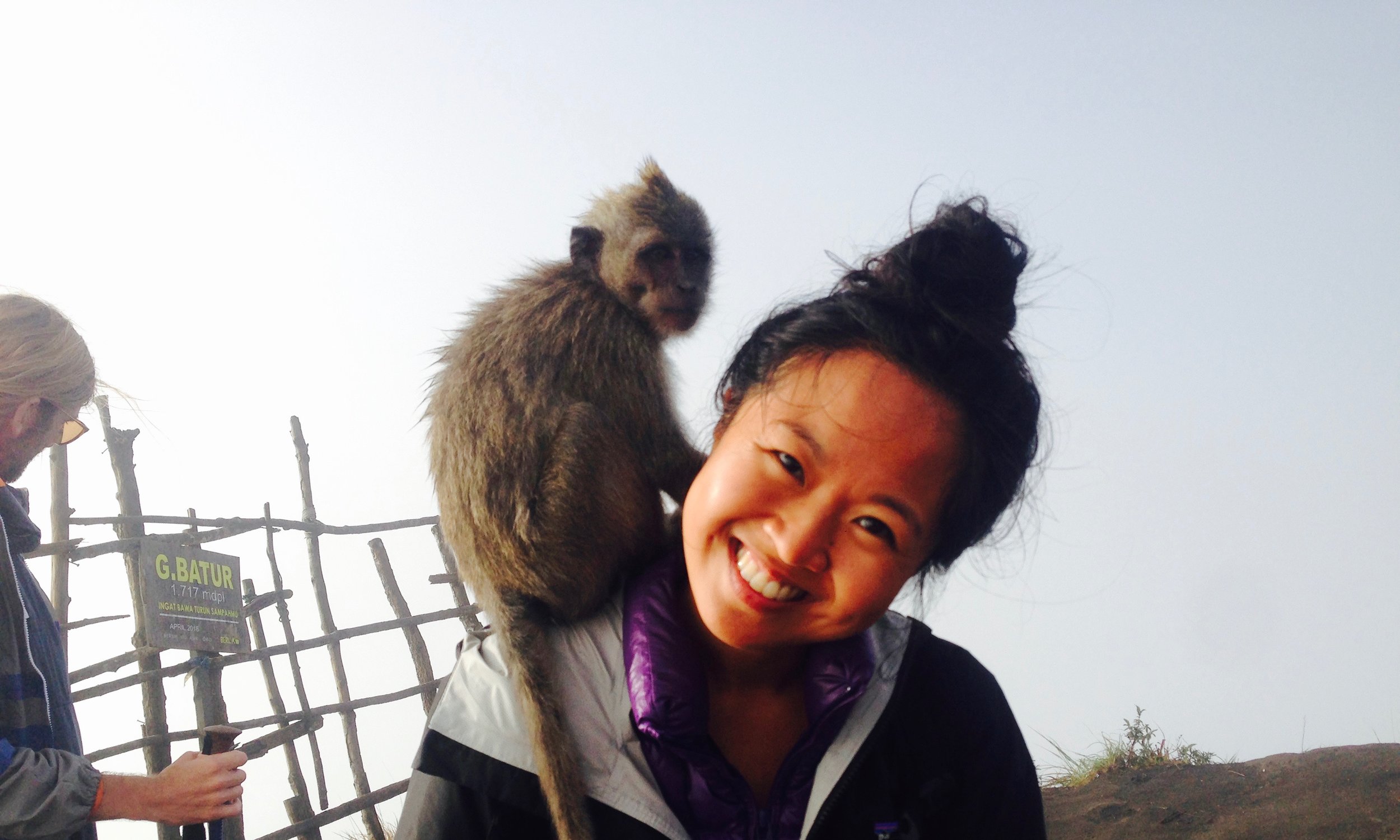 Monkey 1, Monkey 2