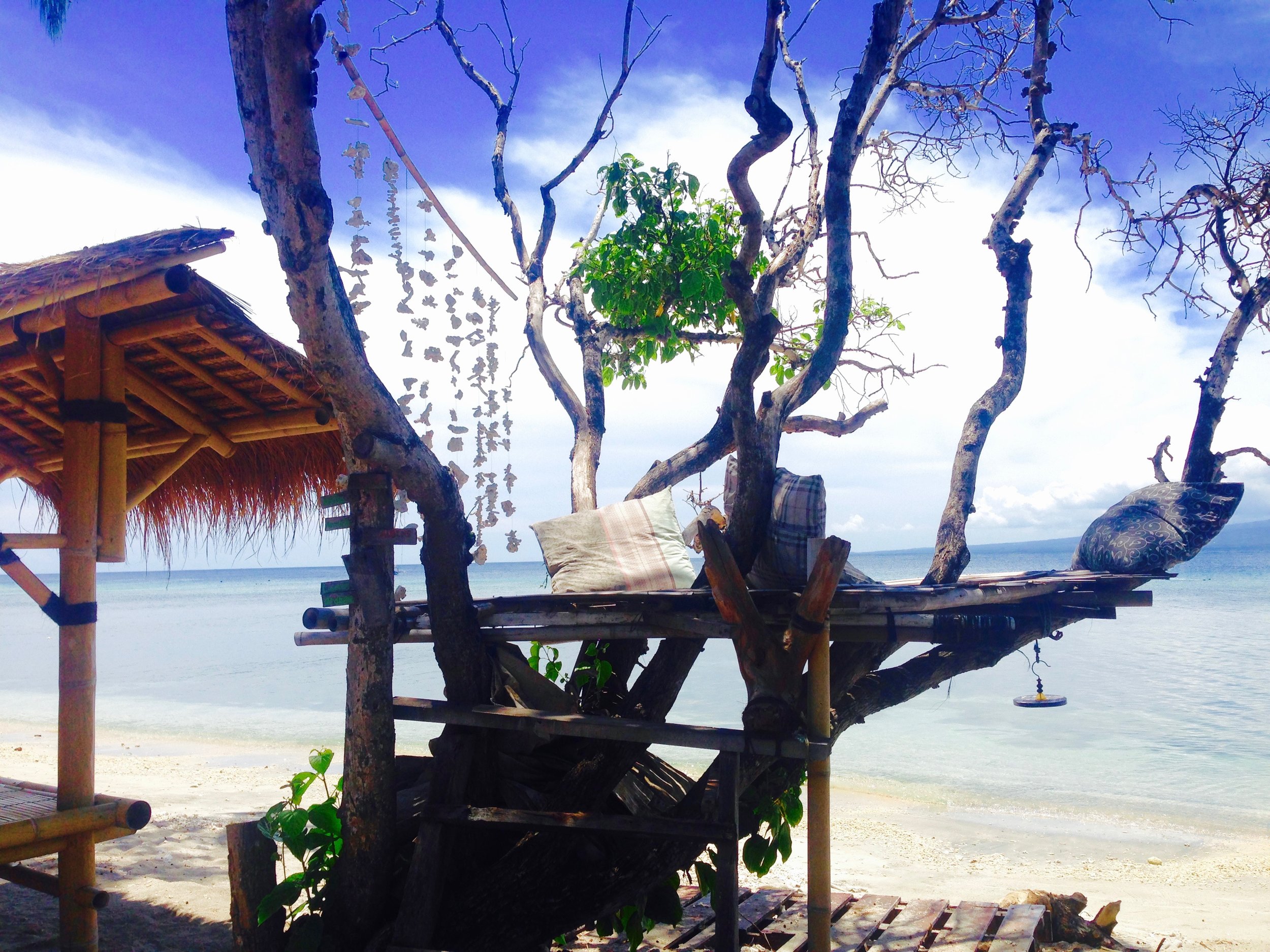 Just a casual tree house on the beach