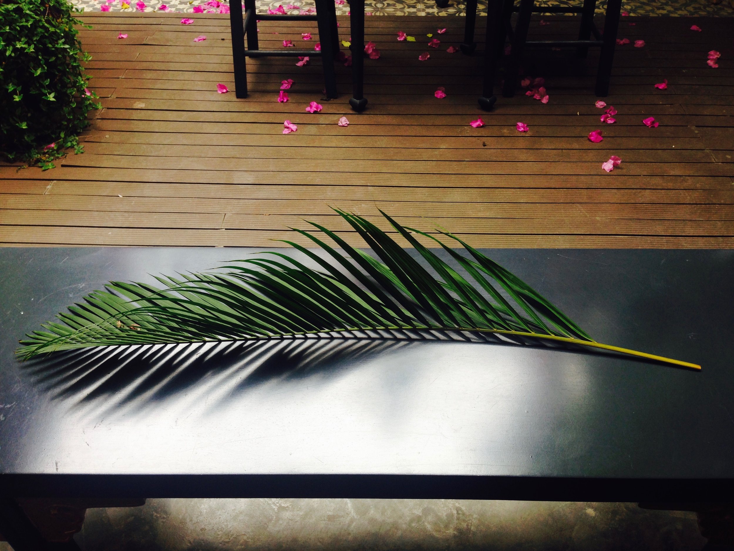 What's a cute boutique shop without a free-standing palm frond for you to cool off with?