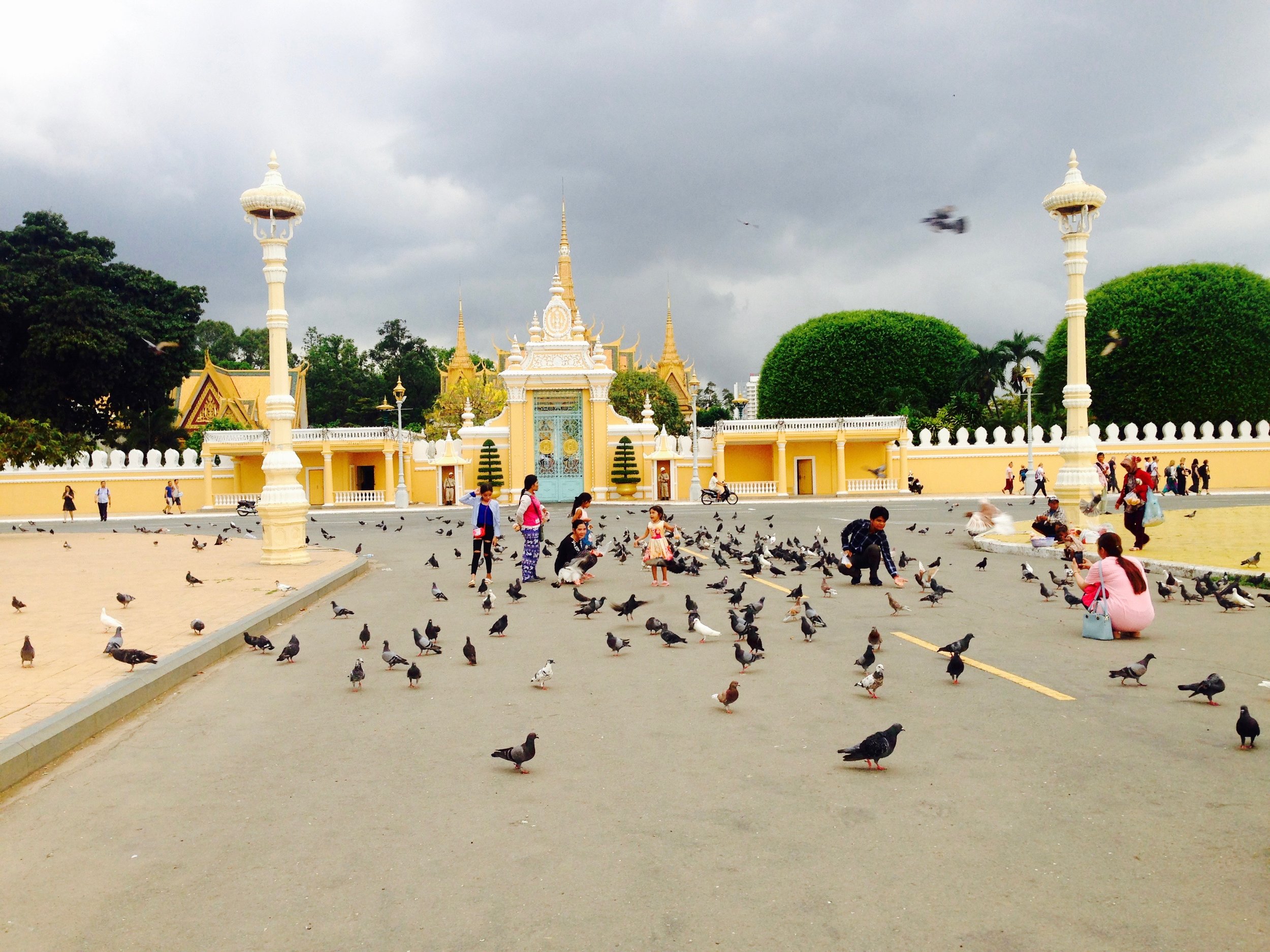 Calm right before a storm, as pigeons go nuts and chaos fills the air