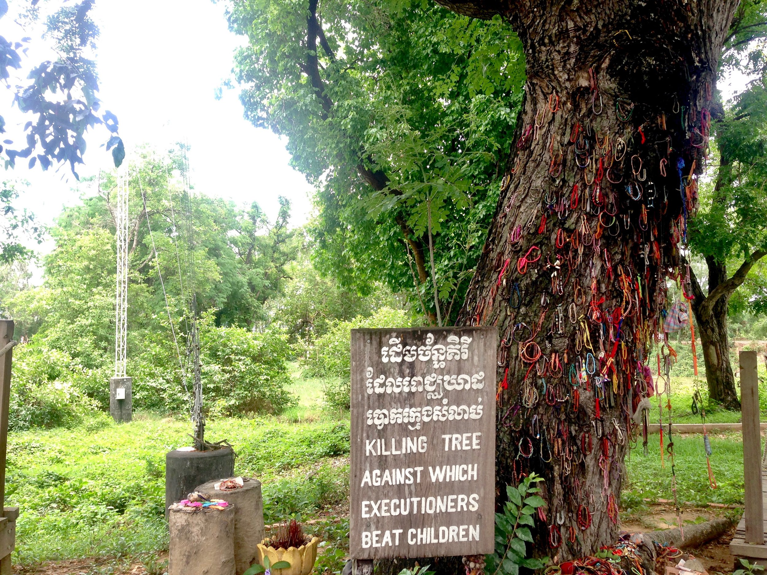 Blood stains remain on the tree for all to bear witness 