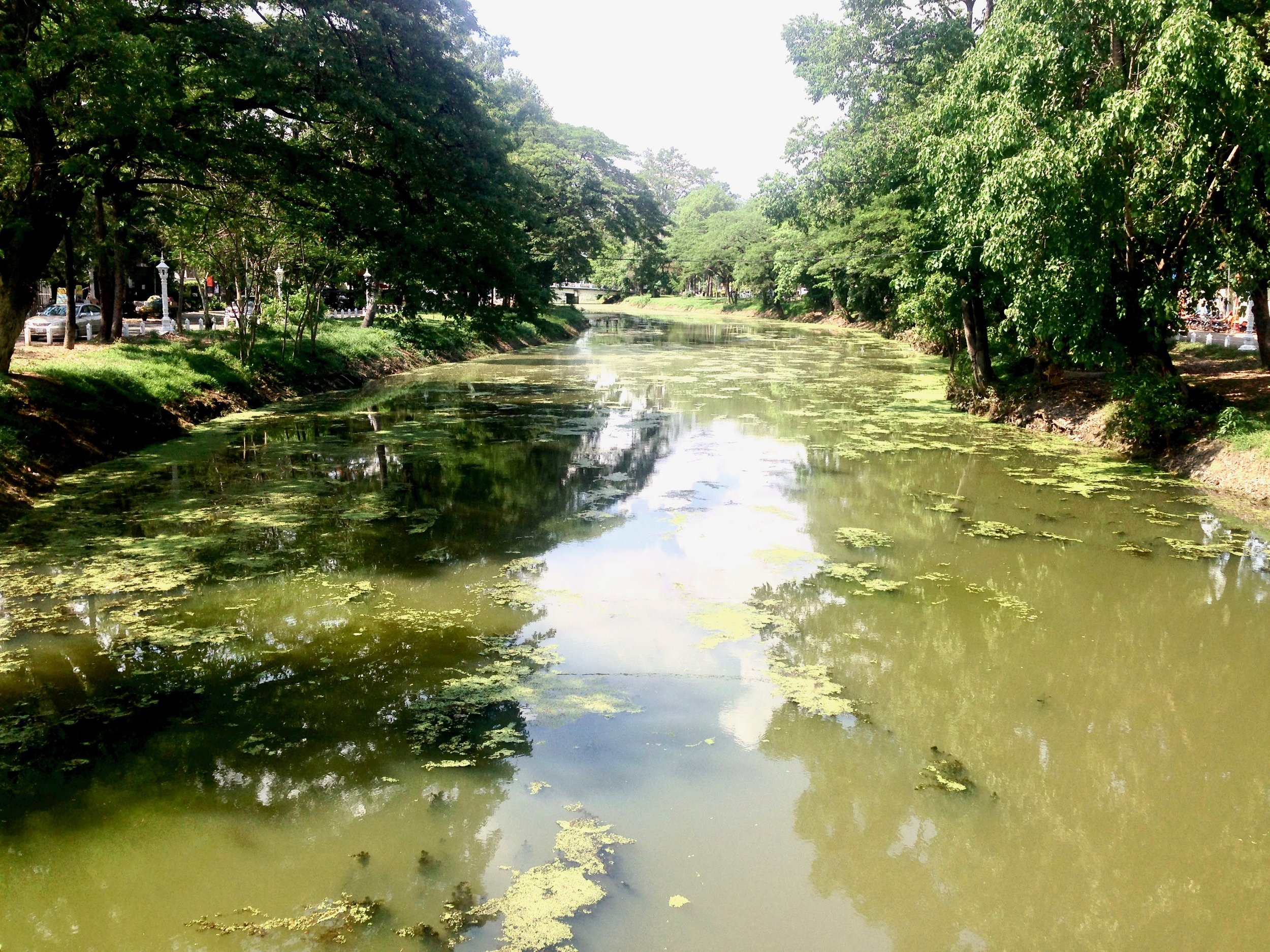 This lake cuts the town on a north-south axis. Pretty vibes compared to Phnom Penh's lakeside views