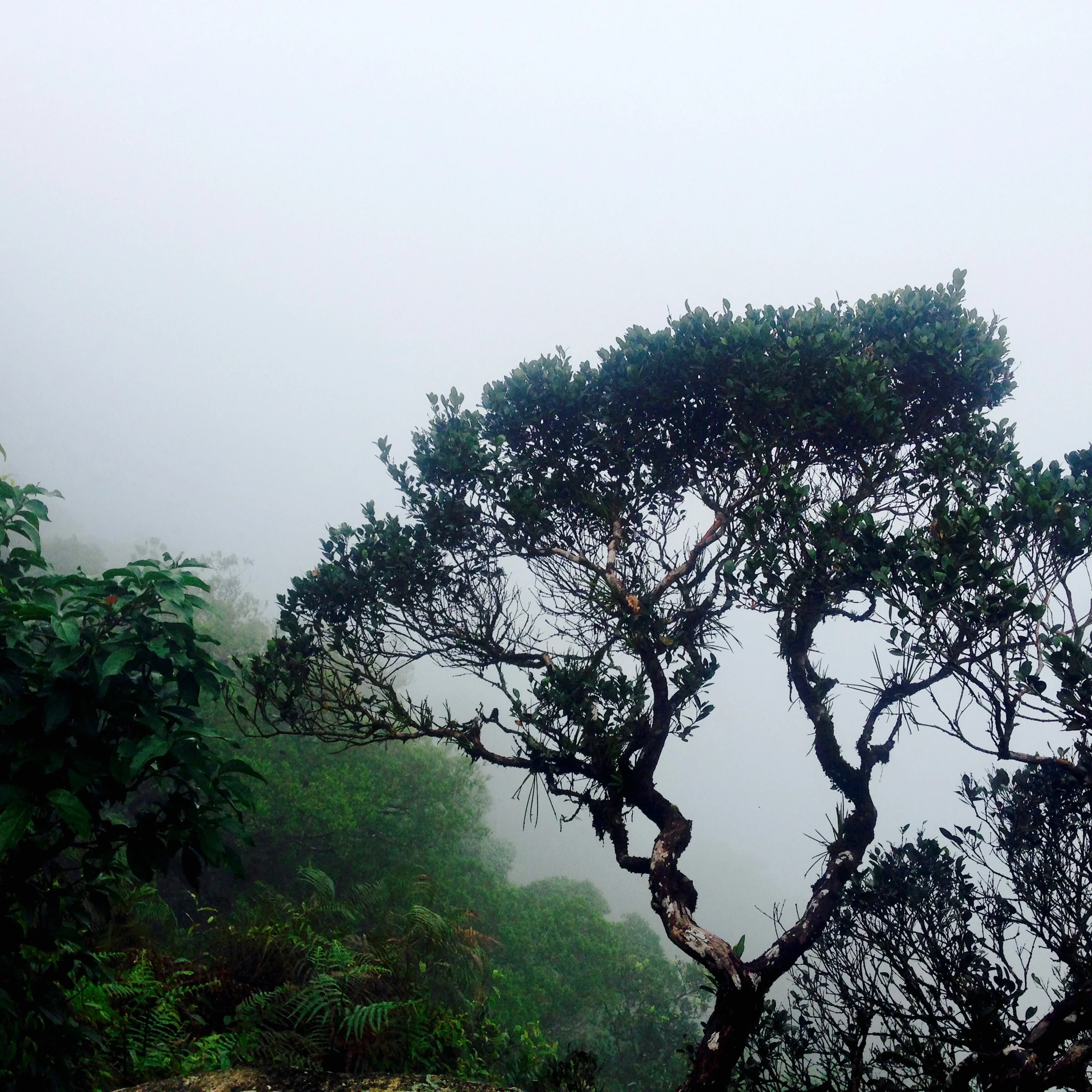 Definition of a misty mountain