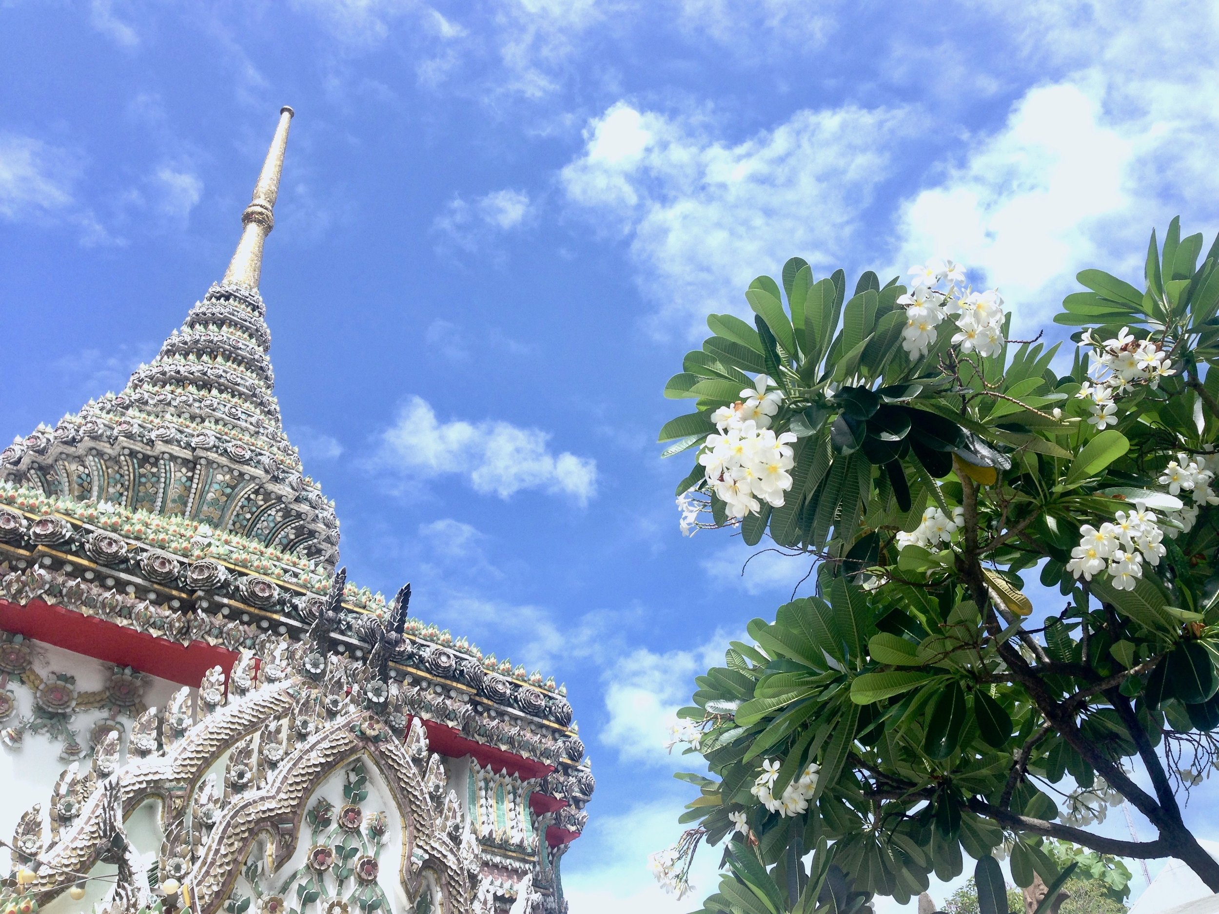 Temple tree combo - skip the lines, look up, and get a beautiful view for free :)