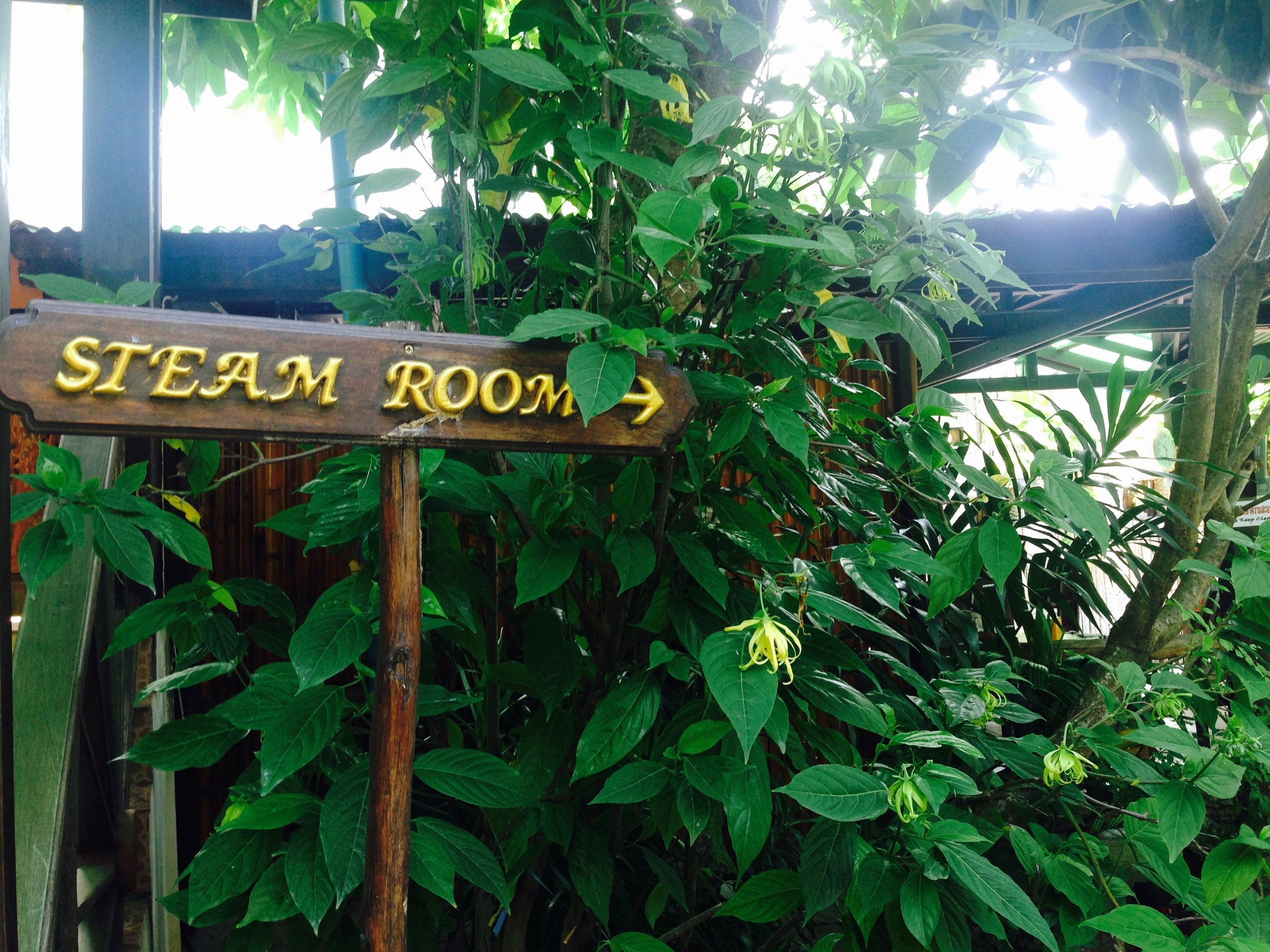 Complimentary steam bath pass, good to take post-colema to sweat all the remaining toxins out
