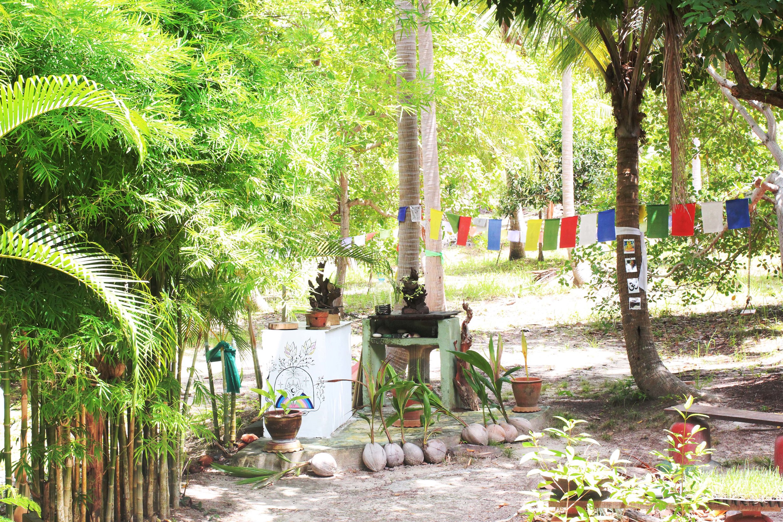 Tree trunks dressed in rainbow cloth connected by weavings of Buddhist prayer flags zig zagging from one tree to the other....simply magic. Nancy’s also experimenting with making her own compost, so all the organic matter of the world congregates out here.