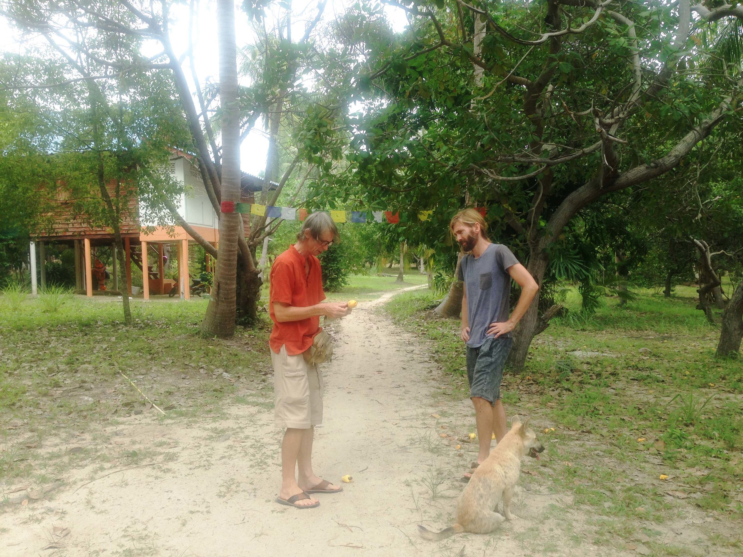 William, an expat from New Zealand is the epitome of Koh Phangan - friendliest, most radiant human being who also knows a thing or two about cashew fruits. 