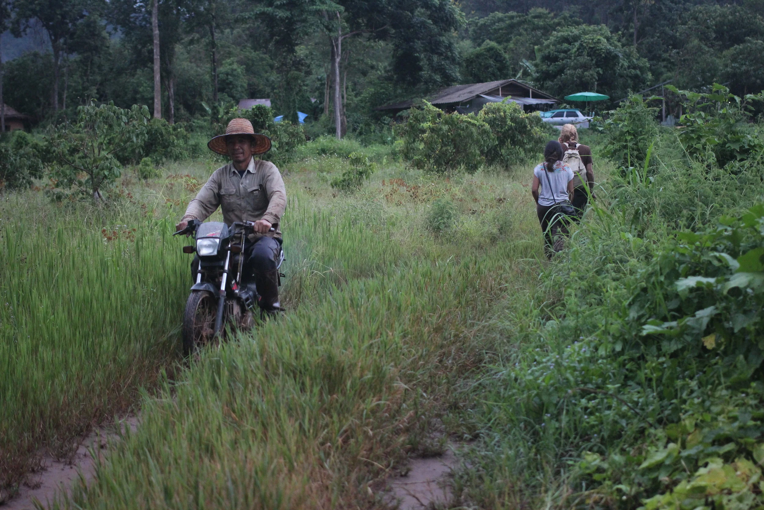 After a fun and rainy field trip to Pun Pun, New York crew heading back to Panya for dinner